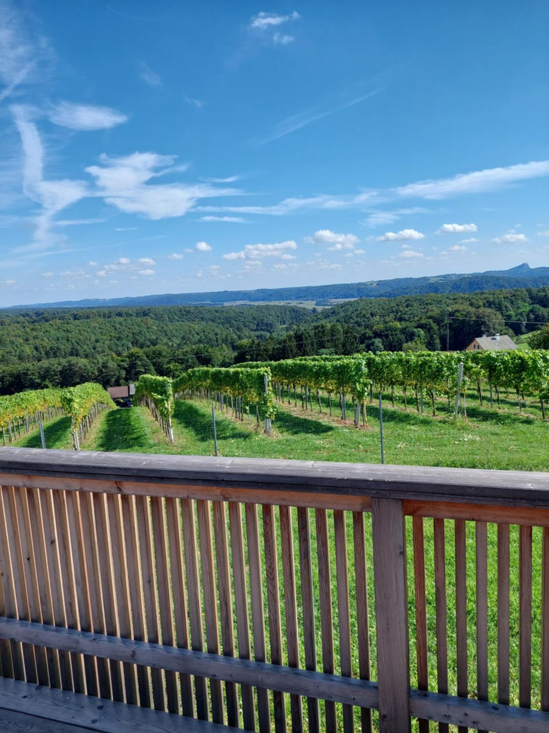 Baronigg Weingartengut