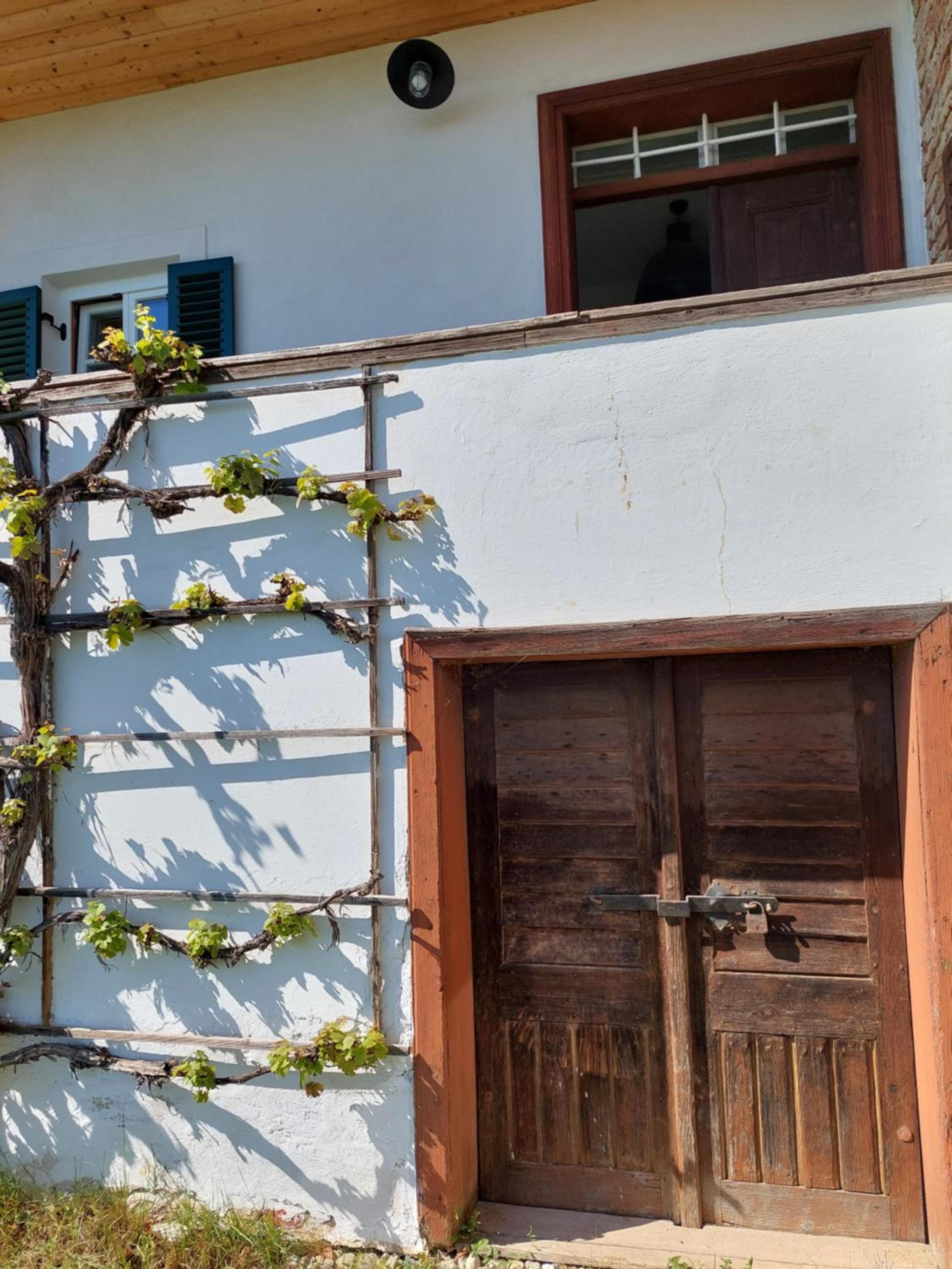 Baronigg Weingartengut