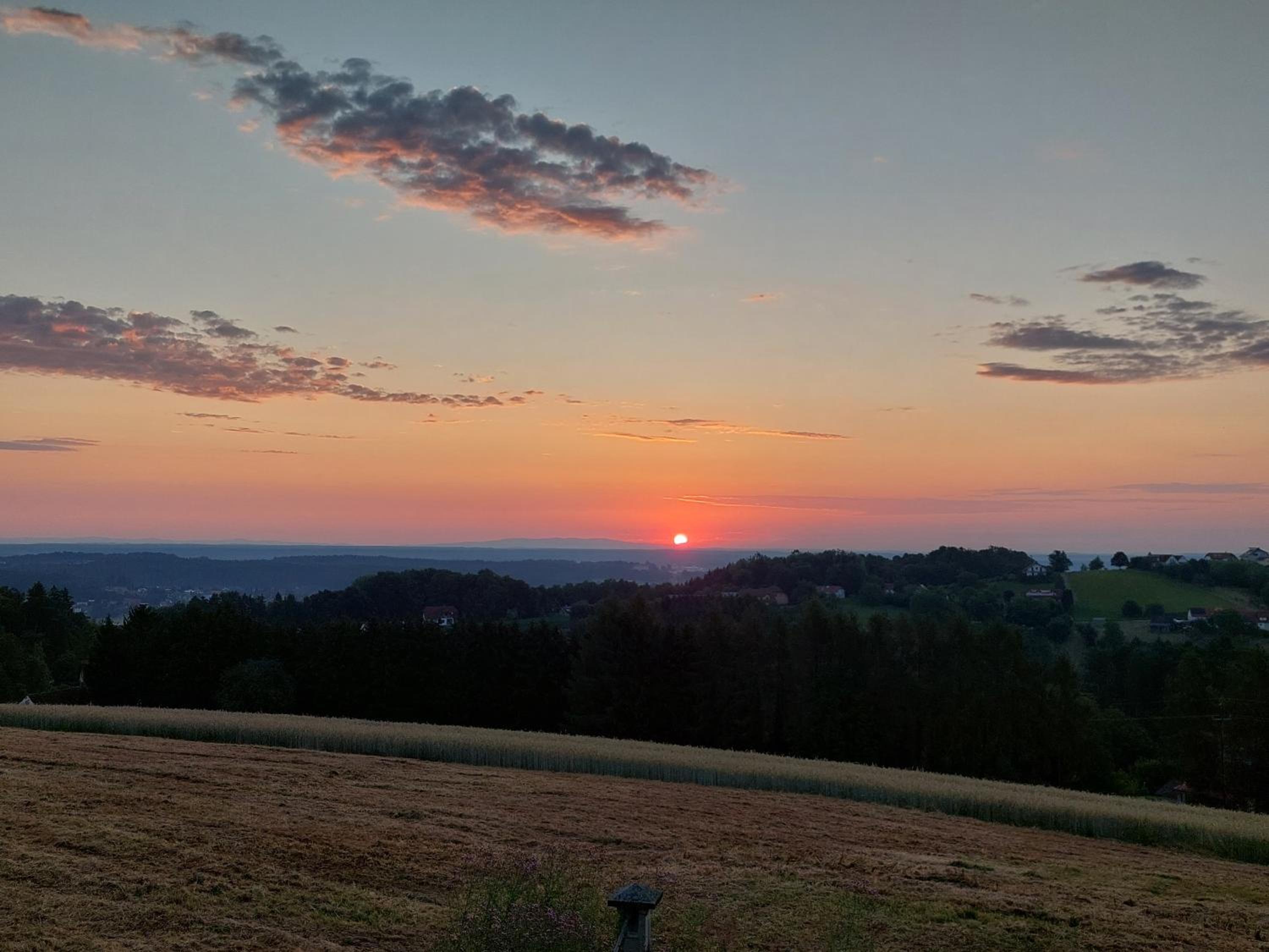 Baronigg Weingartengut
