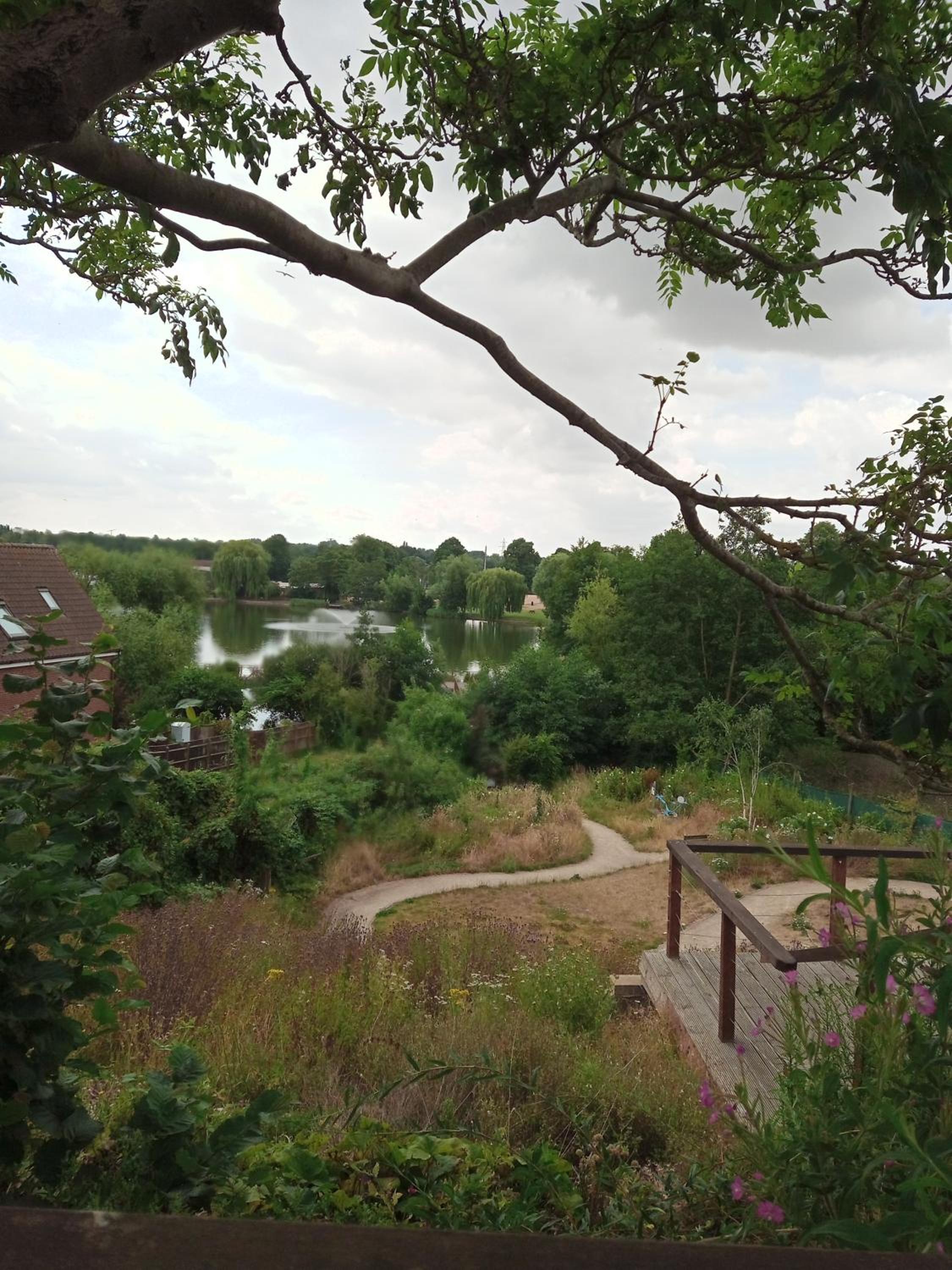 Studio Flat in Heritage Triangle, Diss