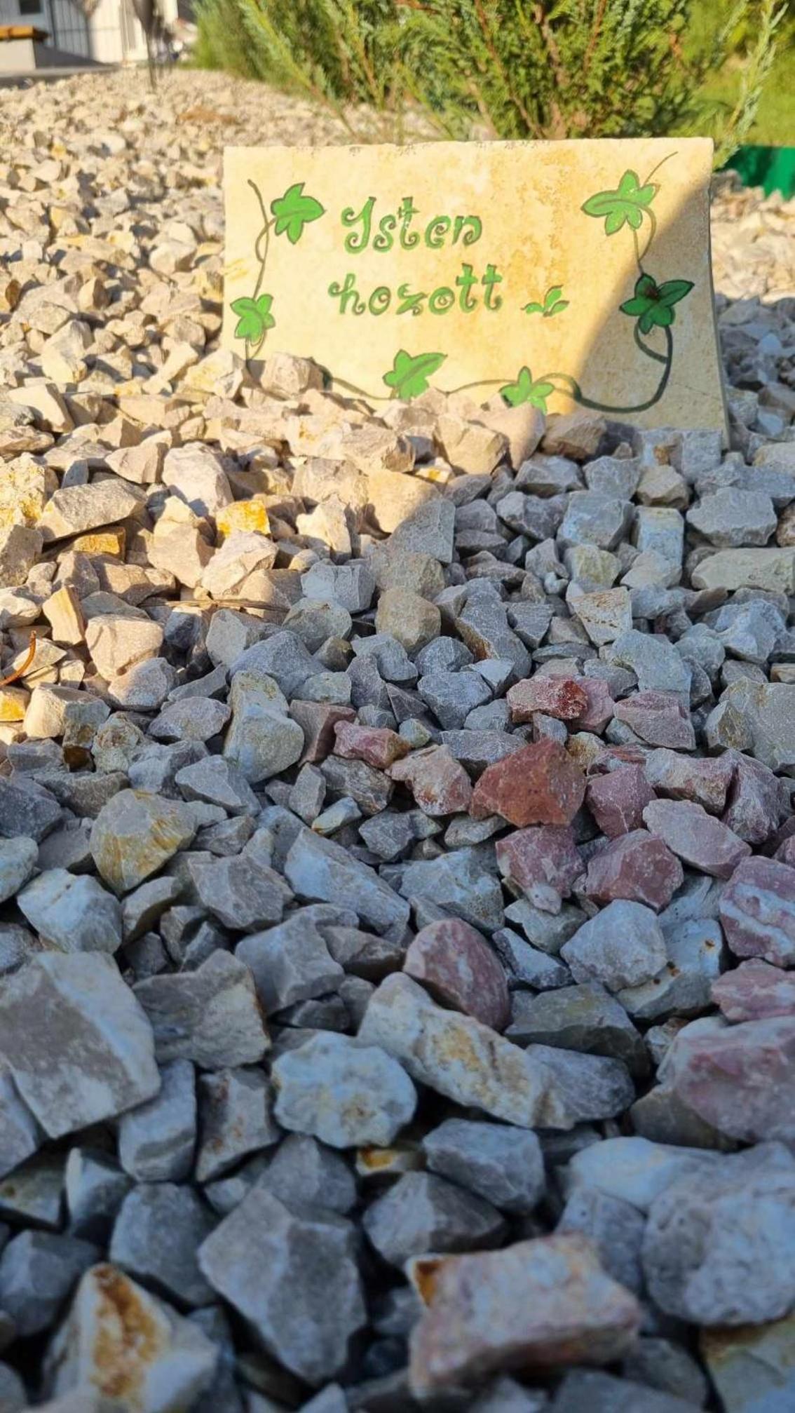 Photo 23