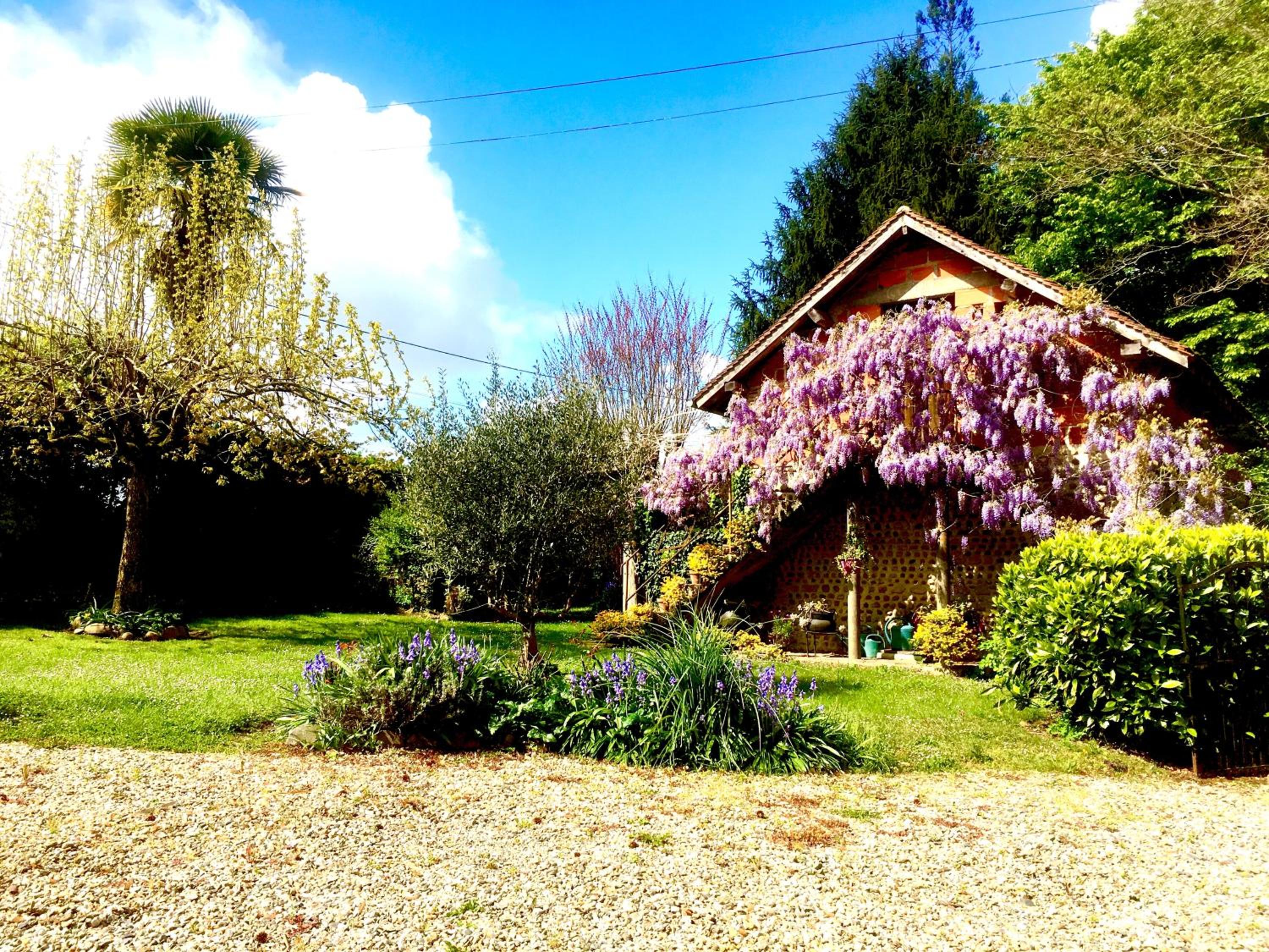 Photo 14