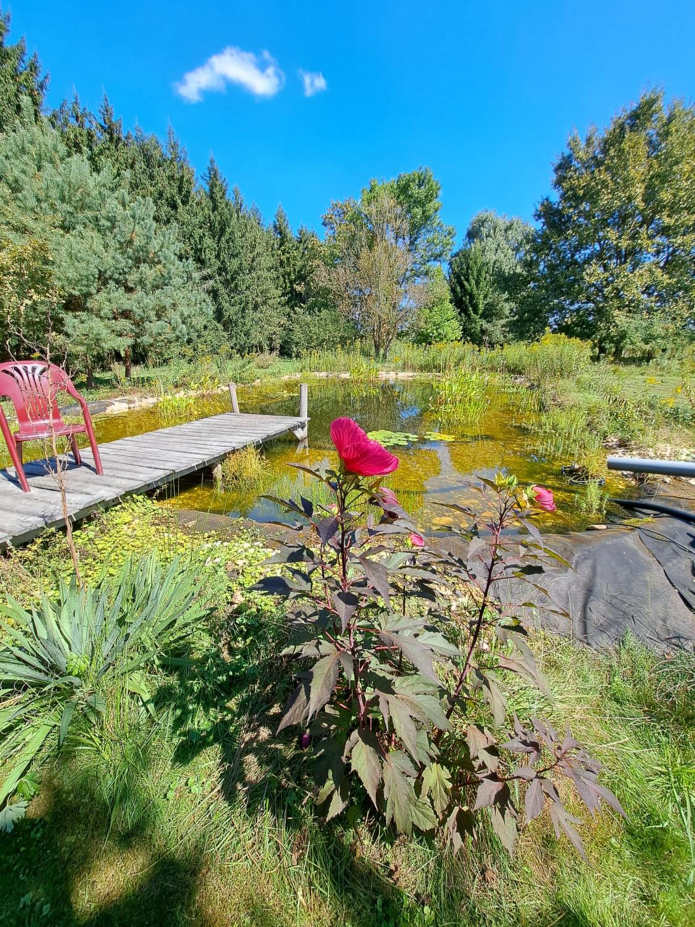 Photo 26