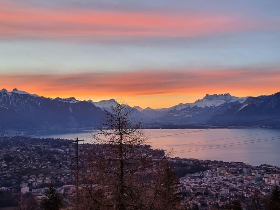 Le toit de Chardonne - Entre Alpes et lac Léman