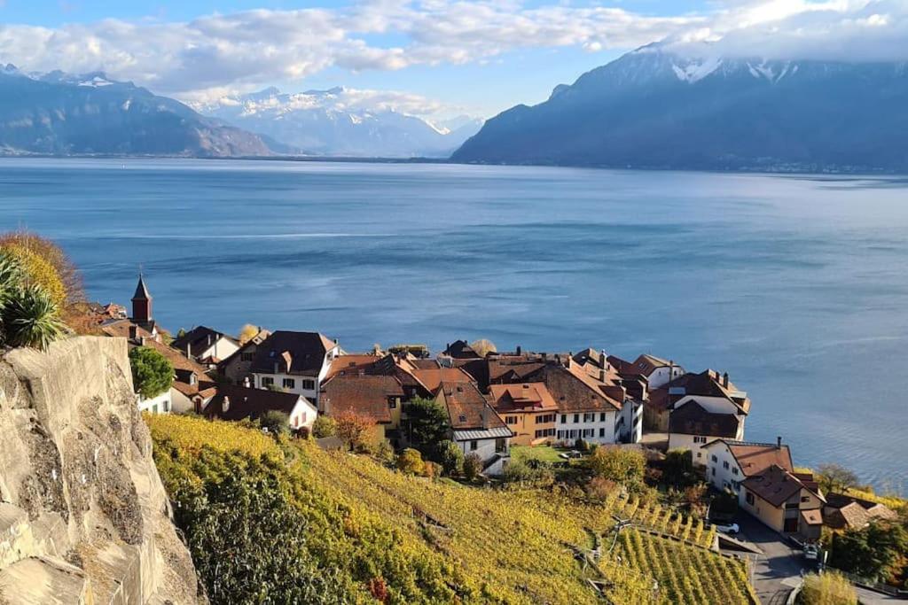 Le toit de Chardonne - Entre Alpes et lac Léman