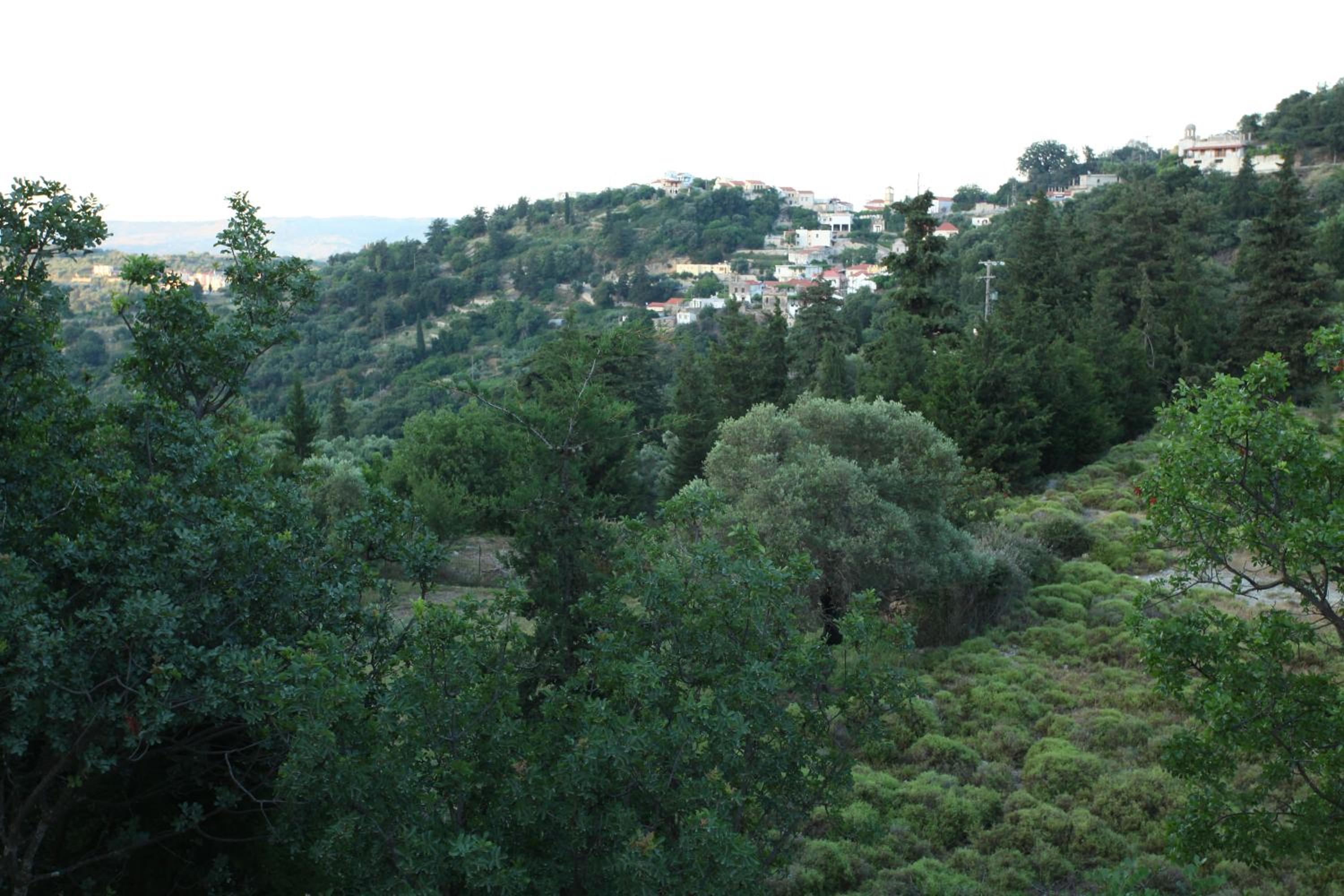 Photo 45