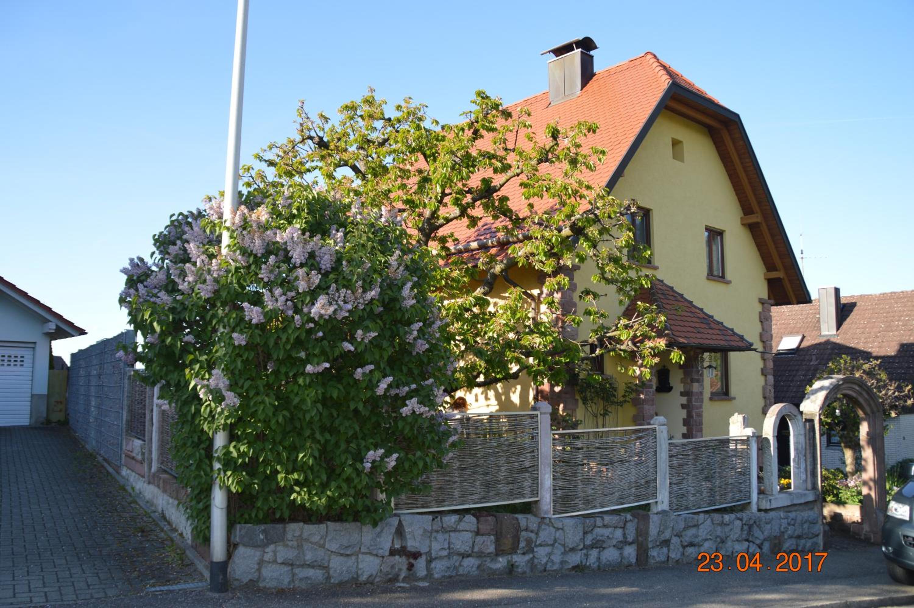 Burgblick