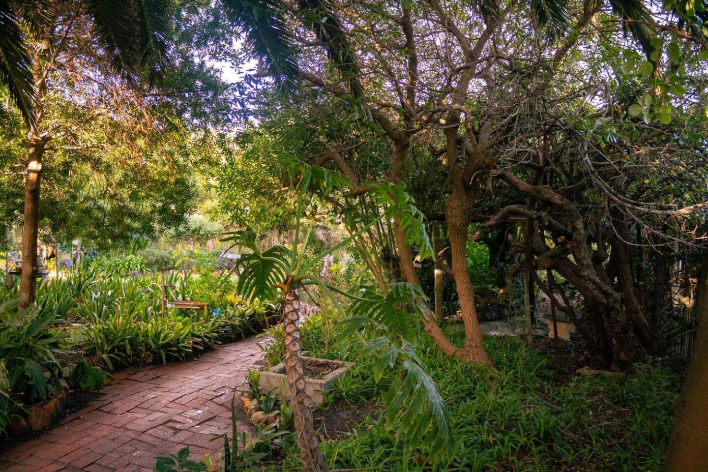 The Wildflower Studio