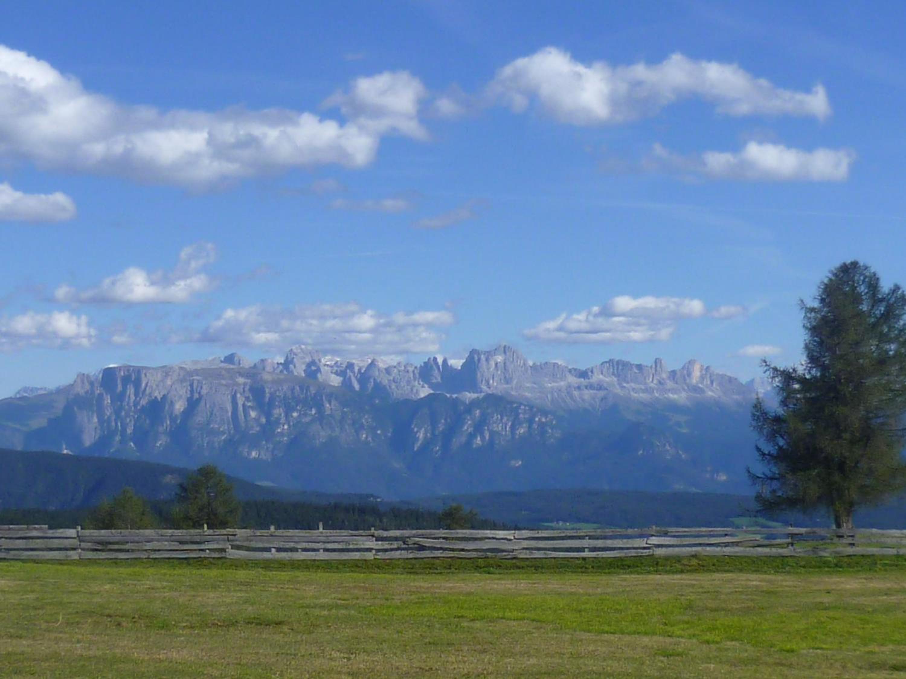 Lingerhof Enzian