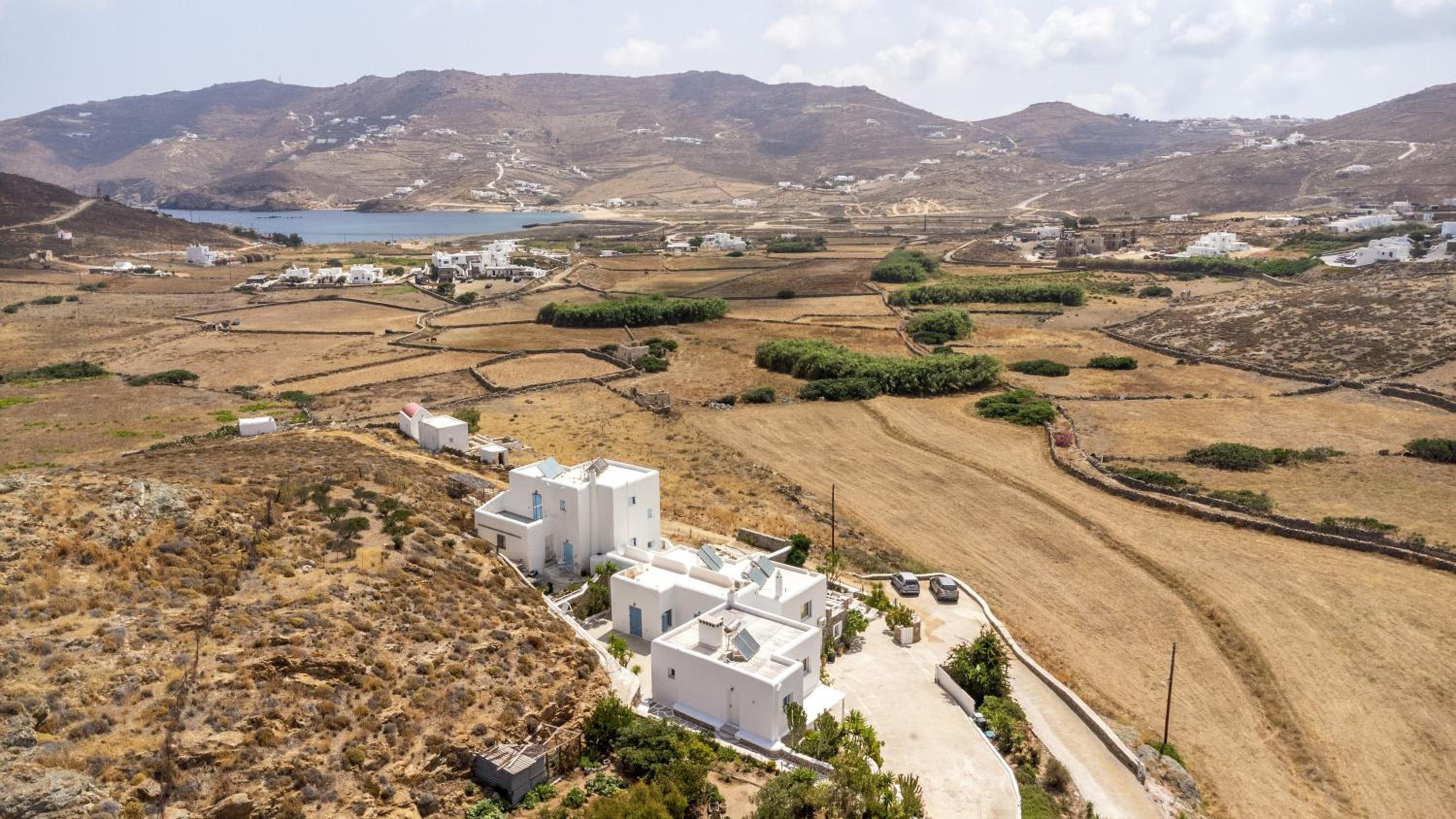 Afroditi Ftelia Yasemi b photo 5