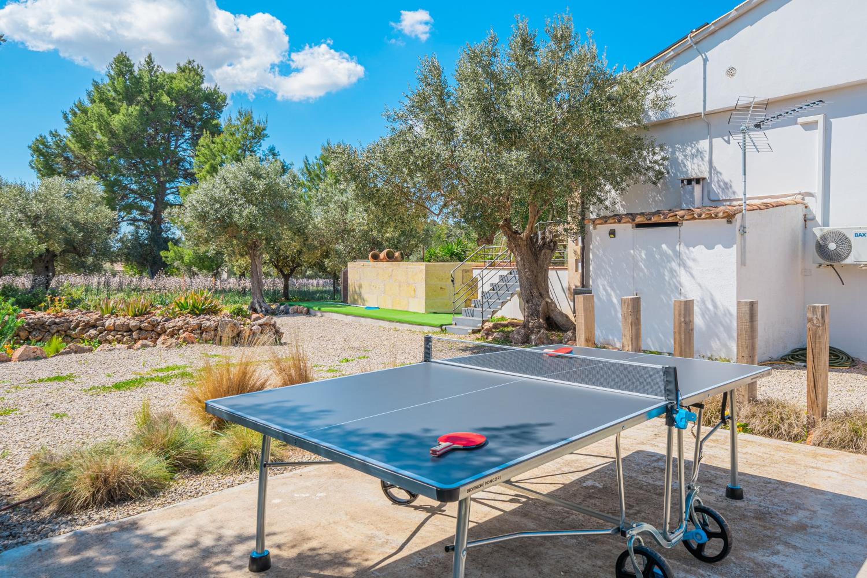activities & amenities