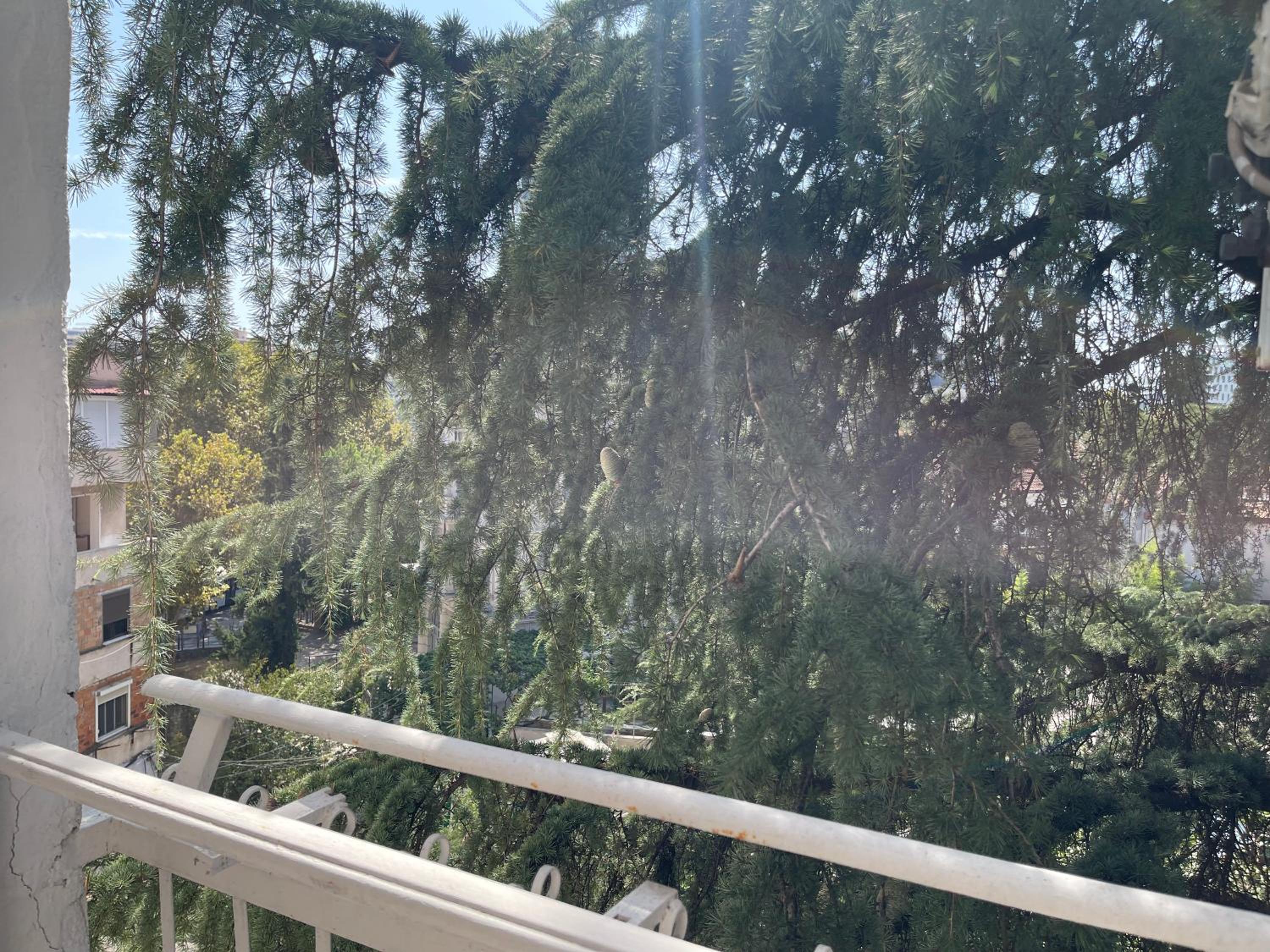 Pine-Tree Spacious 2 BDR Apartment near Tanners' Bridge with hot tub