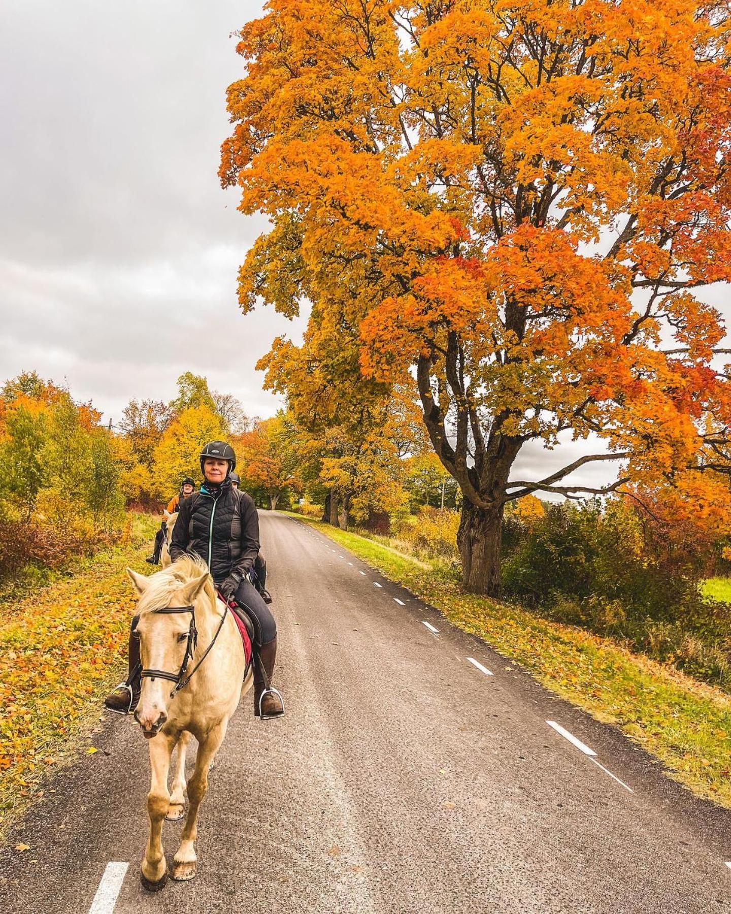 Tihuse Horsefarm B&B
