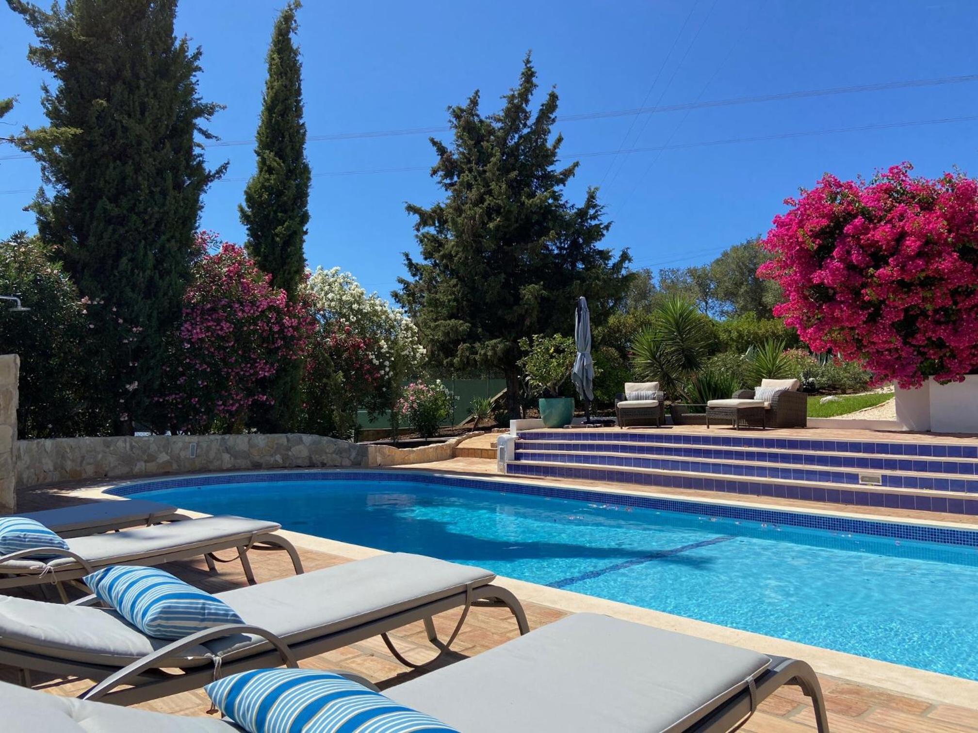 Casa Zimbreira view 5