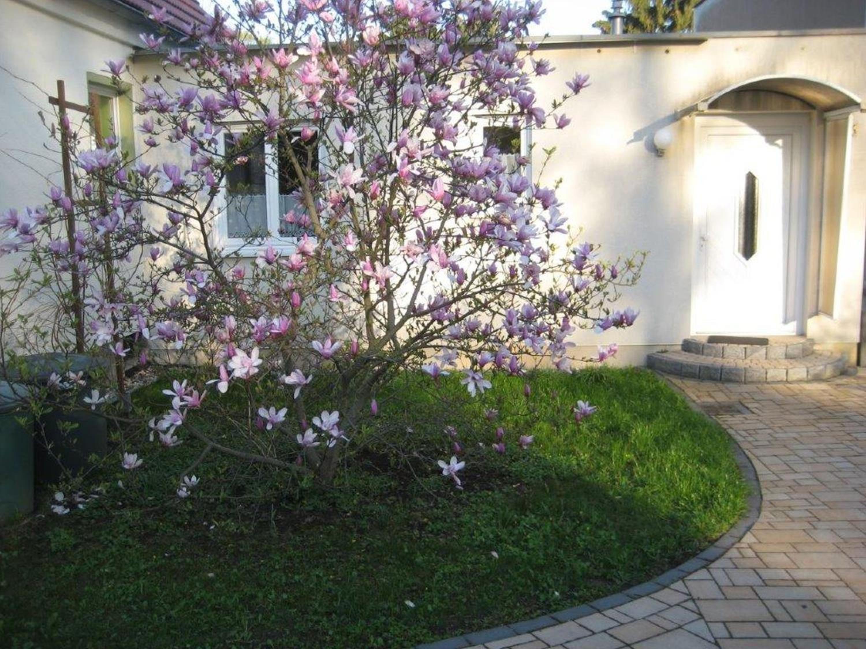 Dresden Vacations - Dresden, Ferienhaus Strietzel - Property Image 5