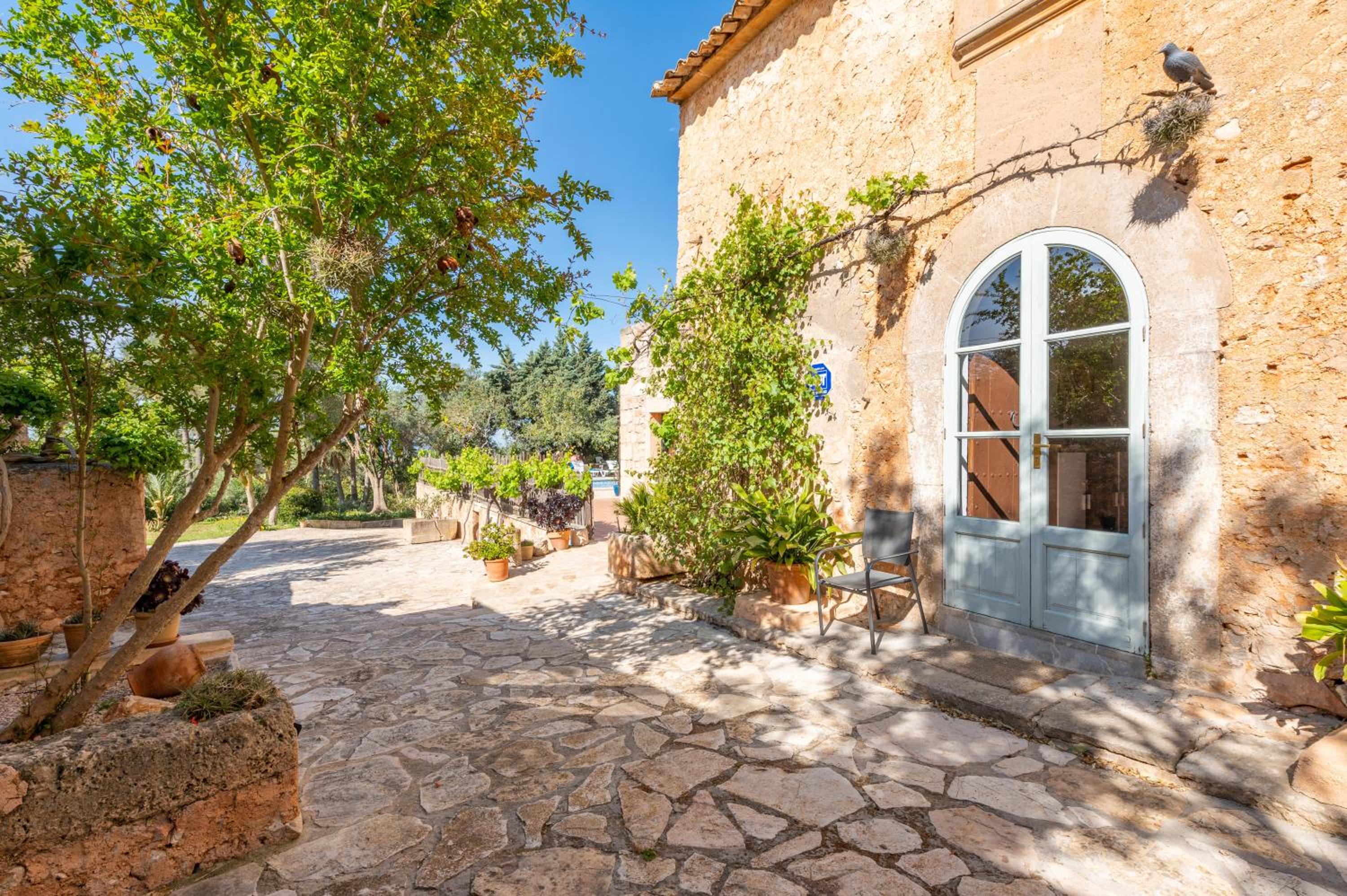 Finca Can Muvi