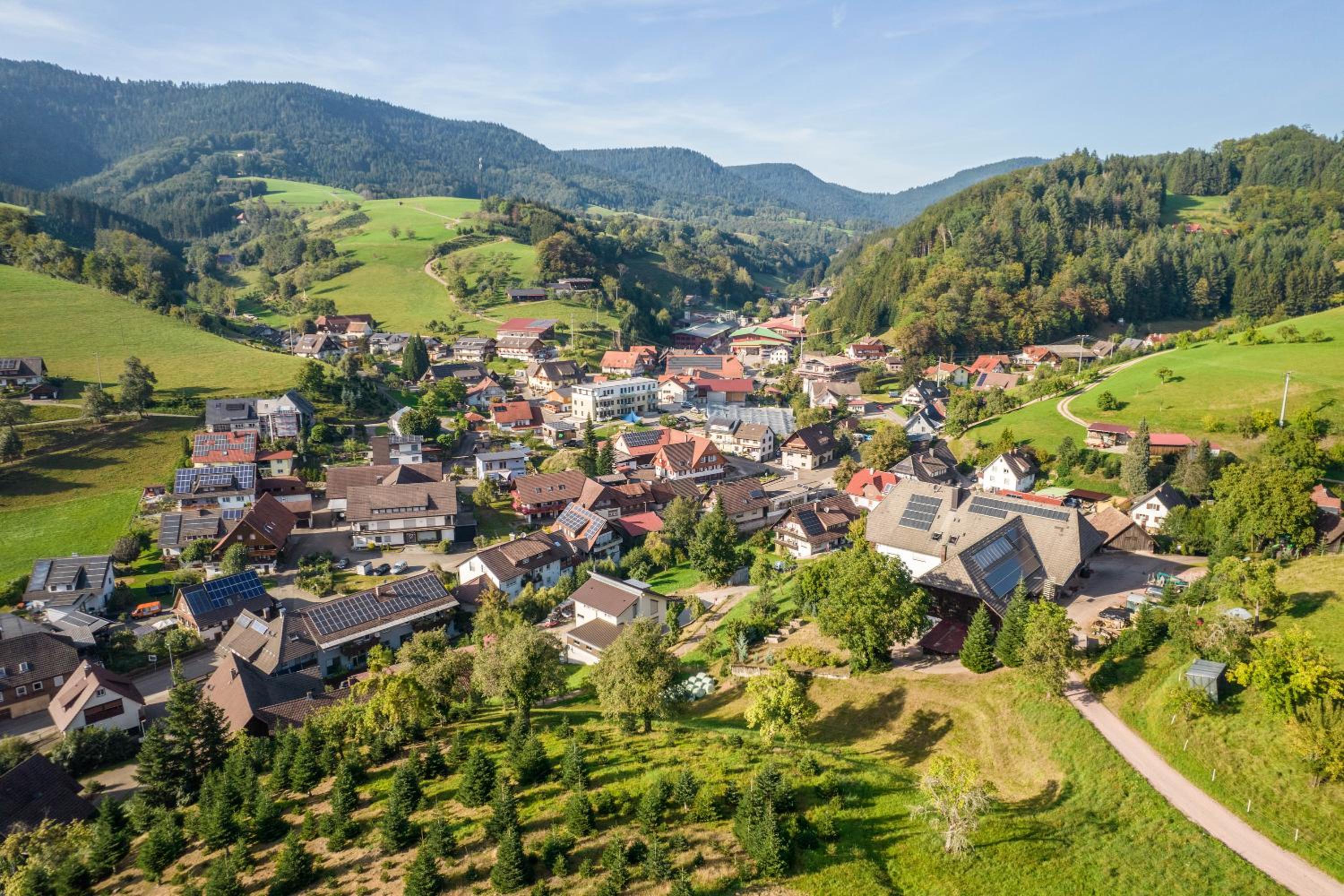 Dalblick