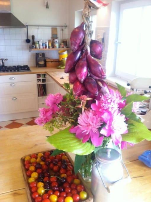 kitchen