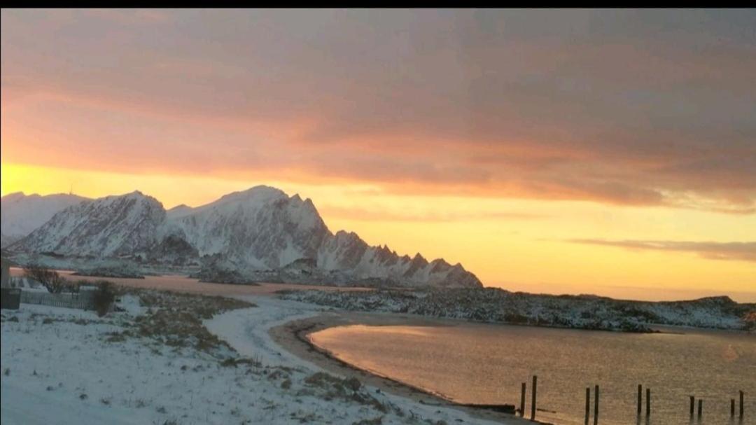 Studioleilighet i kjeller ved stranden og hvalsenter NB Må vaskes etter endt leie eller betale rengjøringshjelpen 500 kr view 4