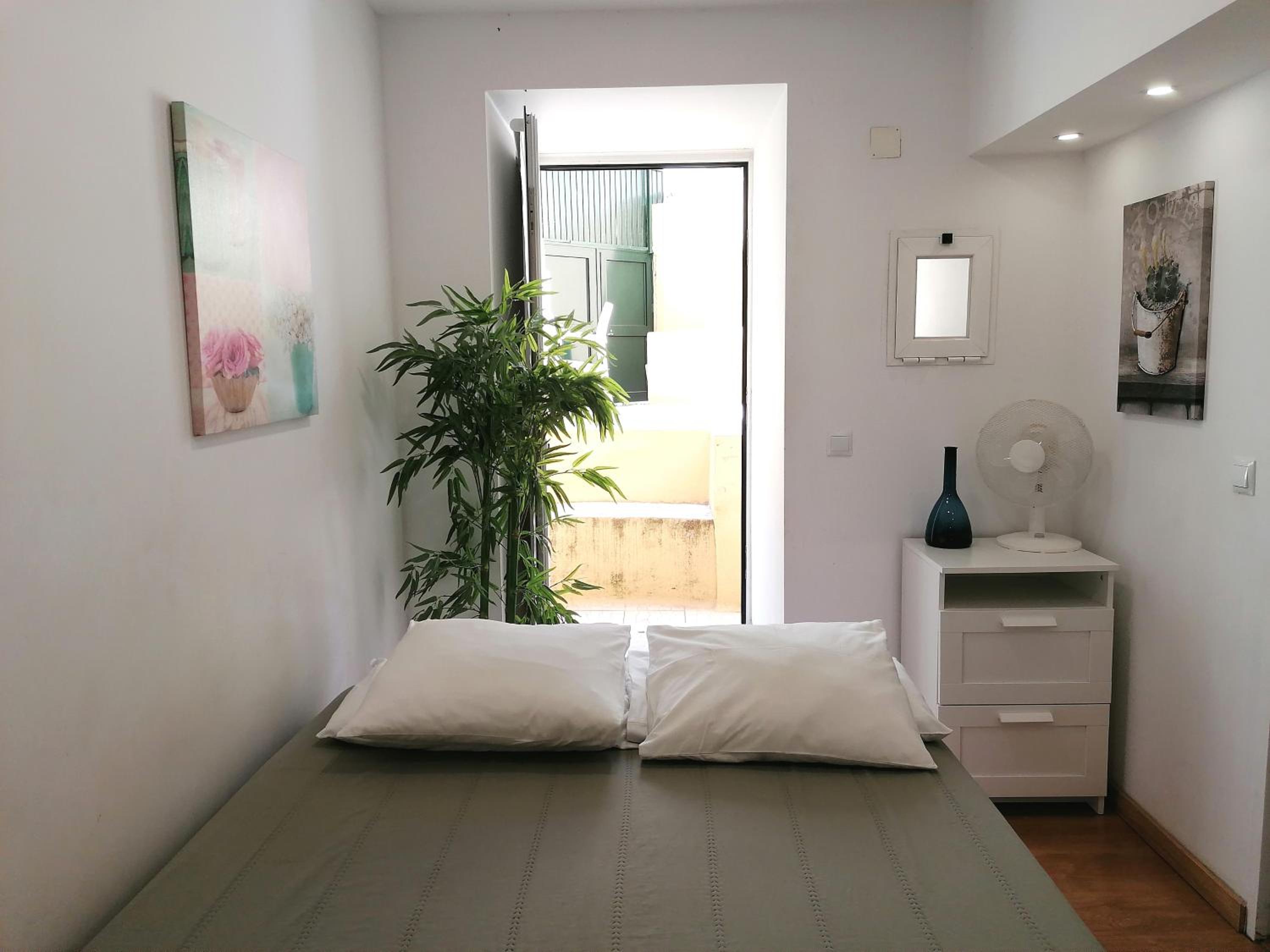 Flowers in Pop House view 2