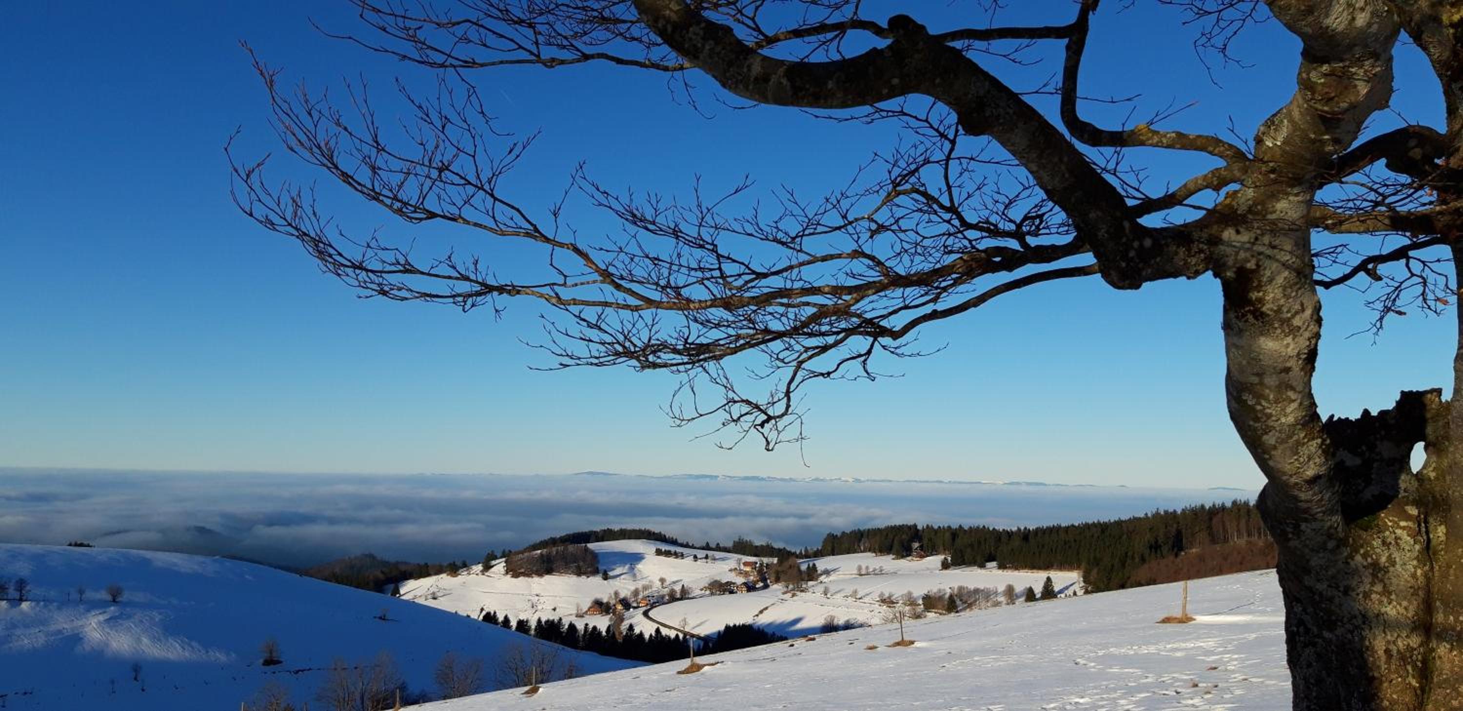View House, Schauinsland, Black Forest