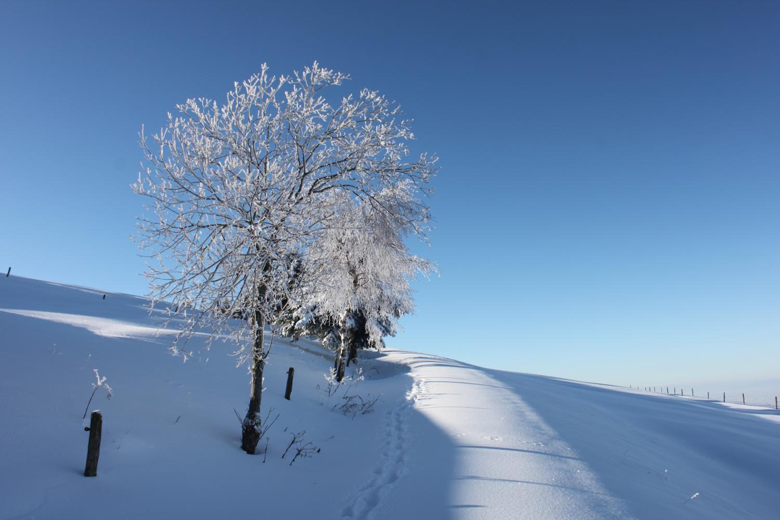 View House, Schauinsland, Black Forest