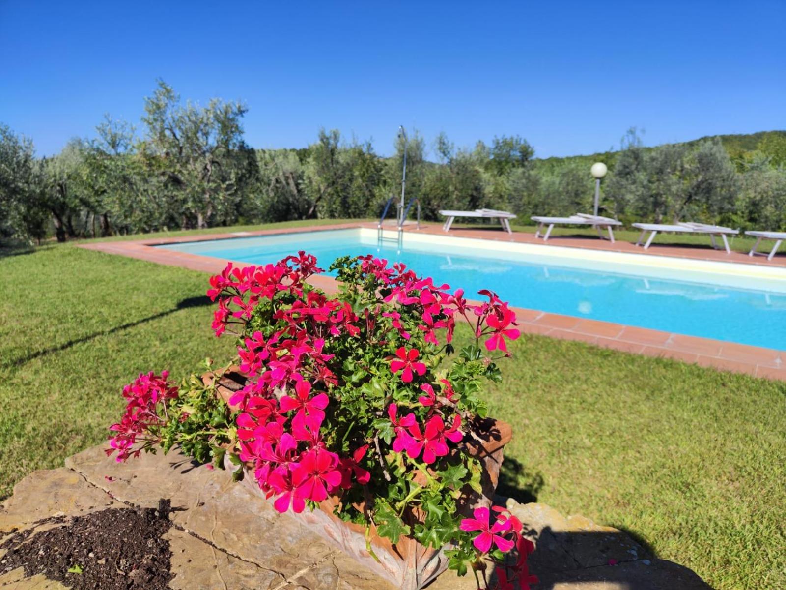 Agriturismo Sommassa