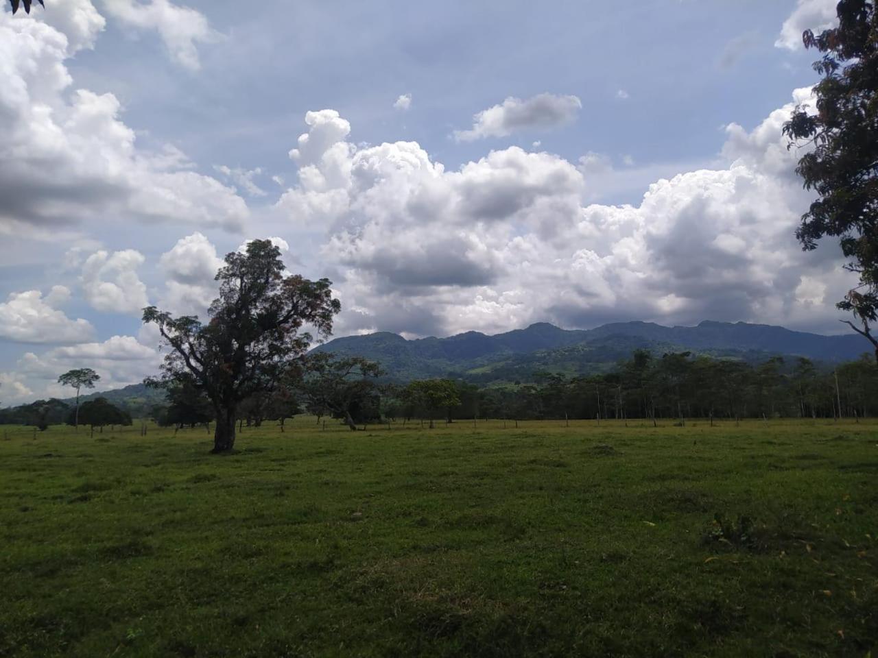 MI FUNDO