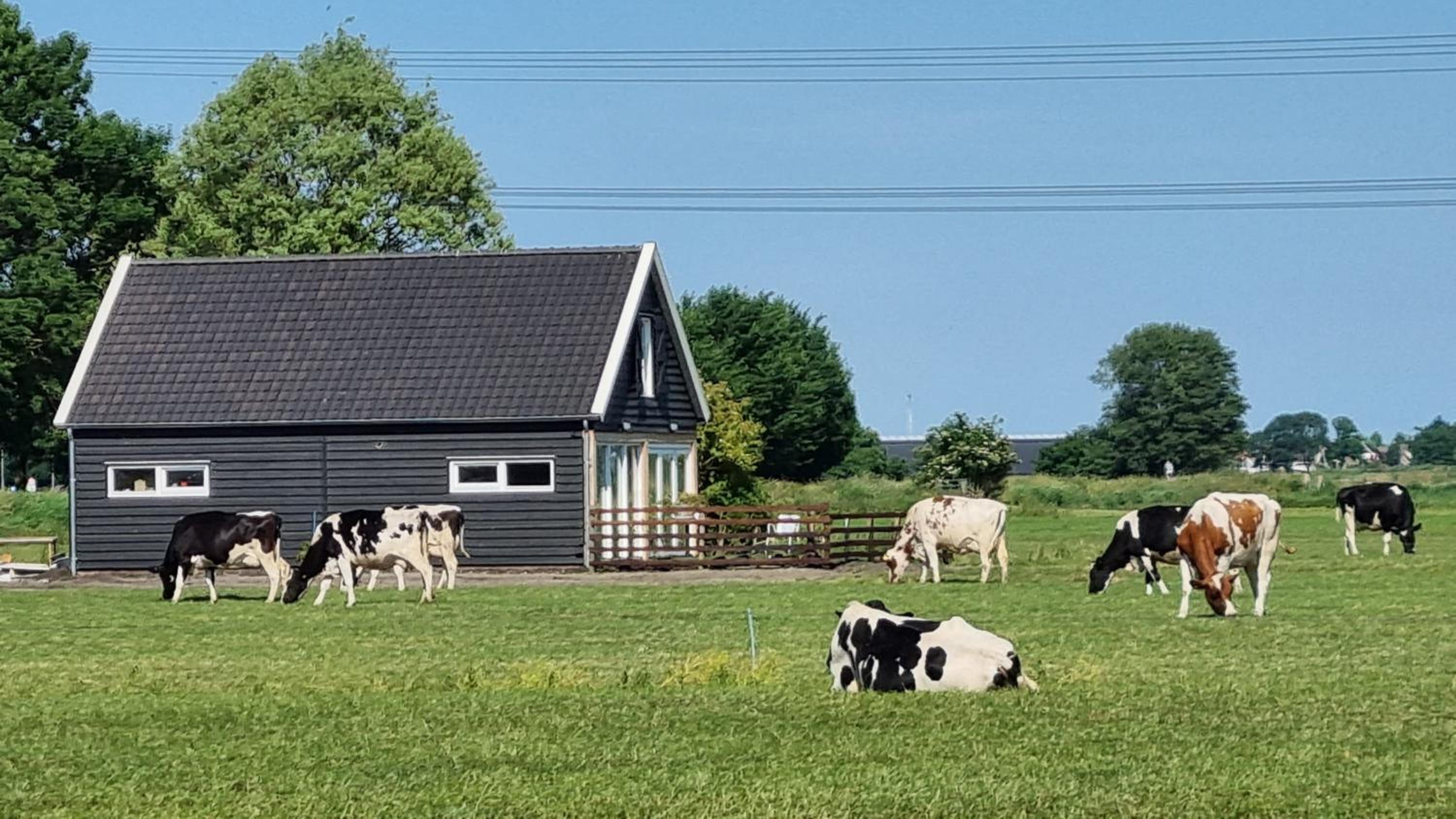 Bed, Bikes and Breakfast, City Farmer Amsterdam a Guesthouse with Free Parking