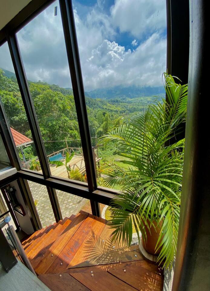 Casa de cristal