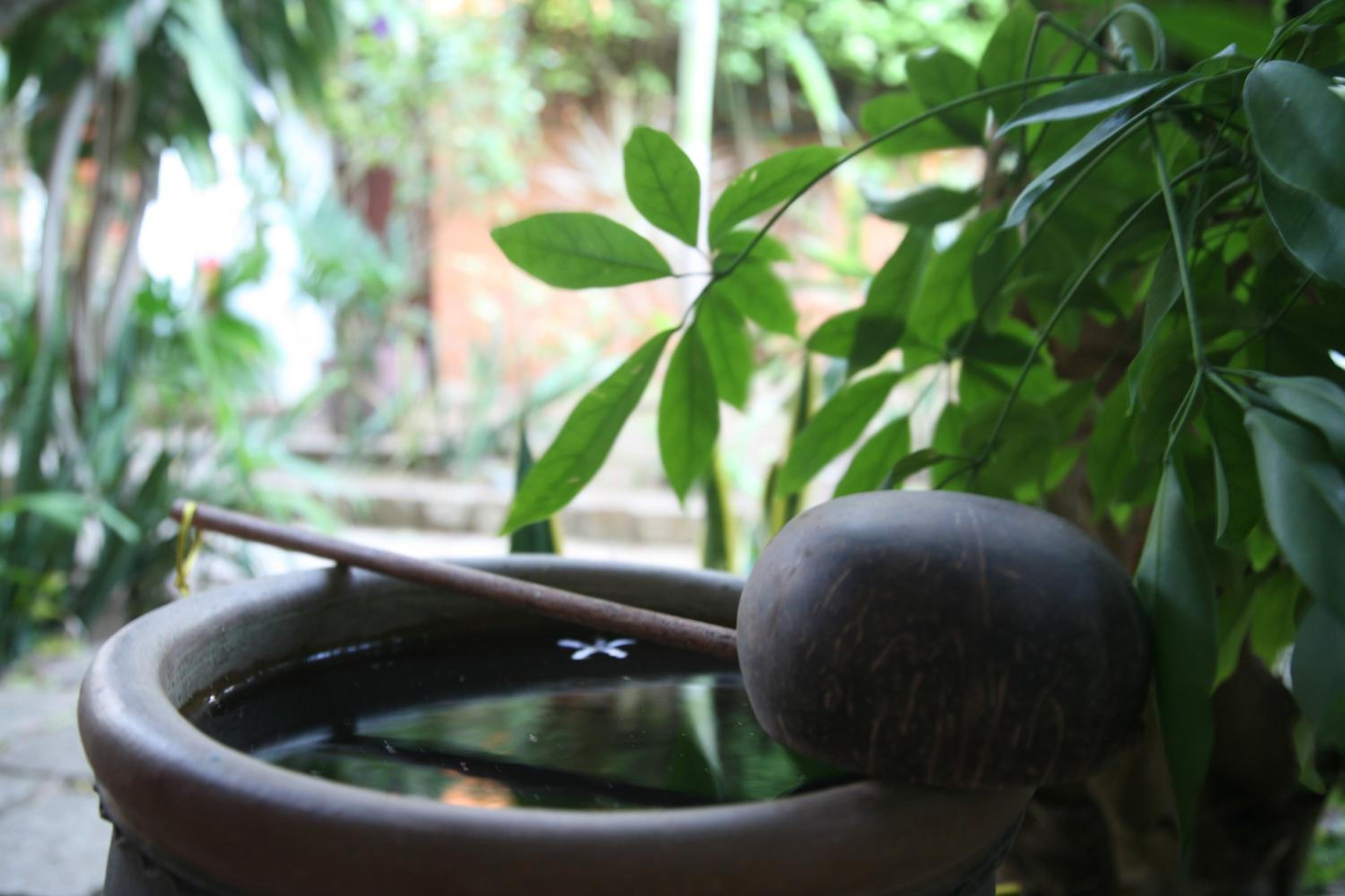 Mui Ne Resort