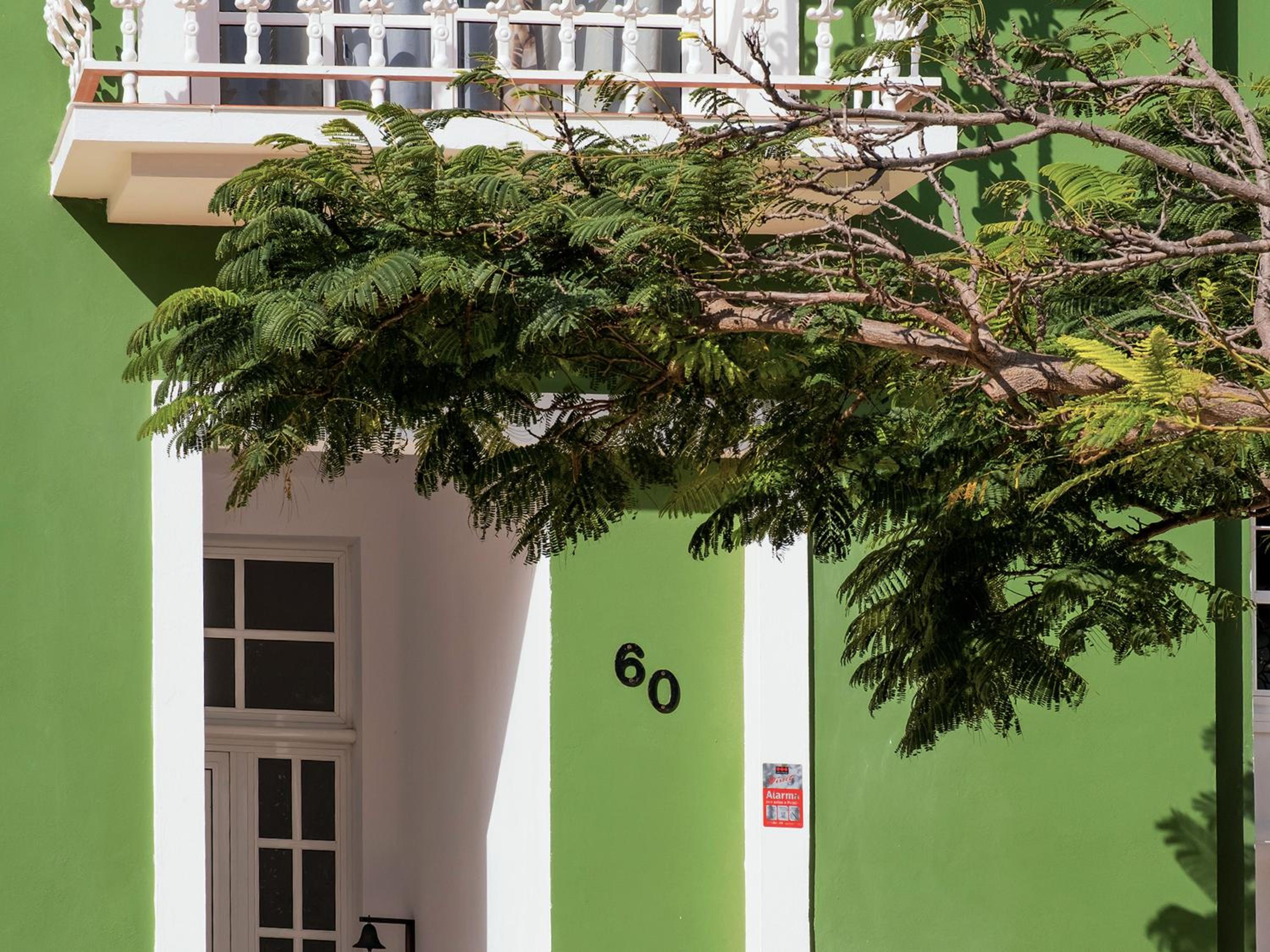 Live Buenavista Terrace