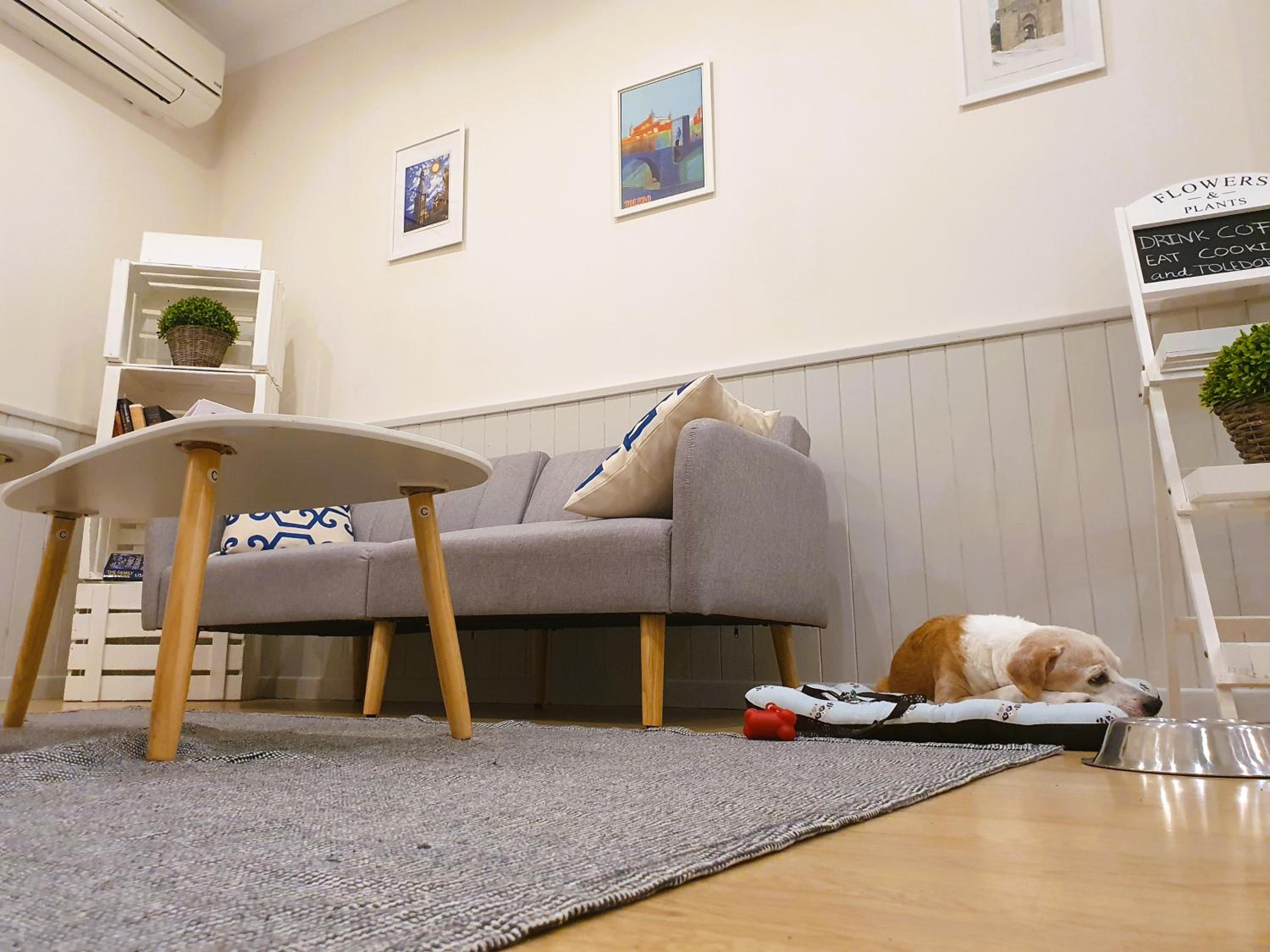 ToledoRooms Palacios