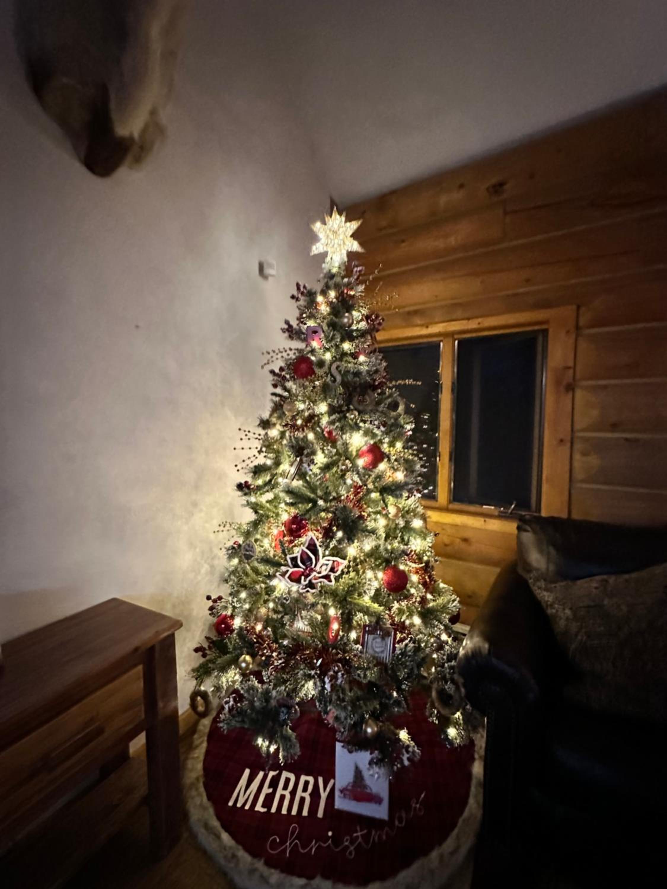 Photo 23