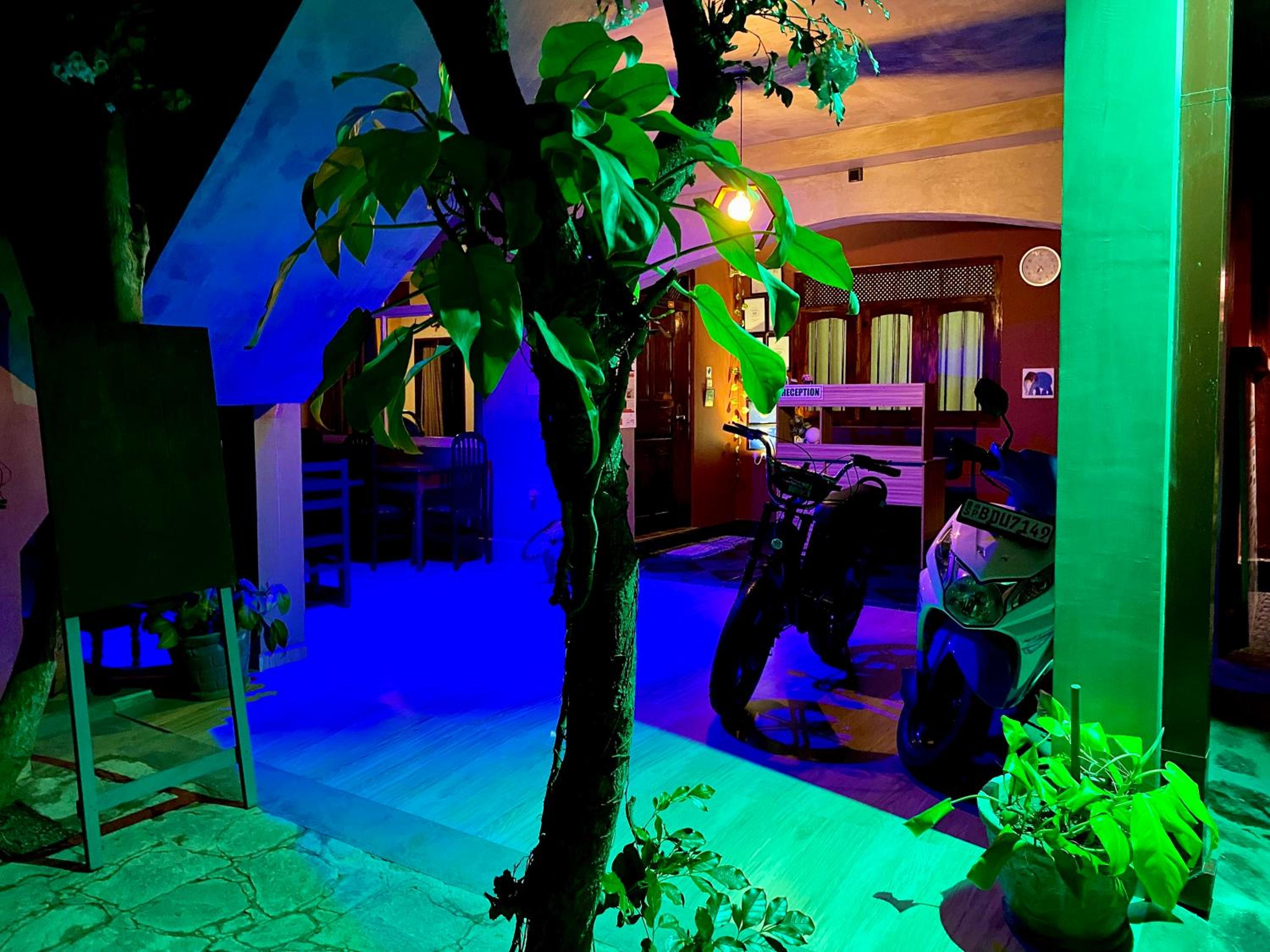 Tamara Motels