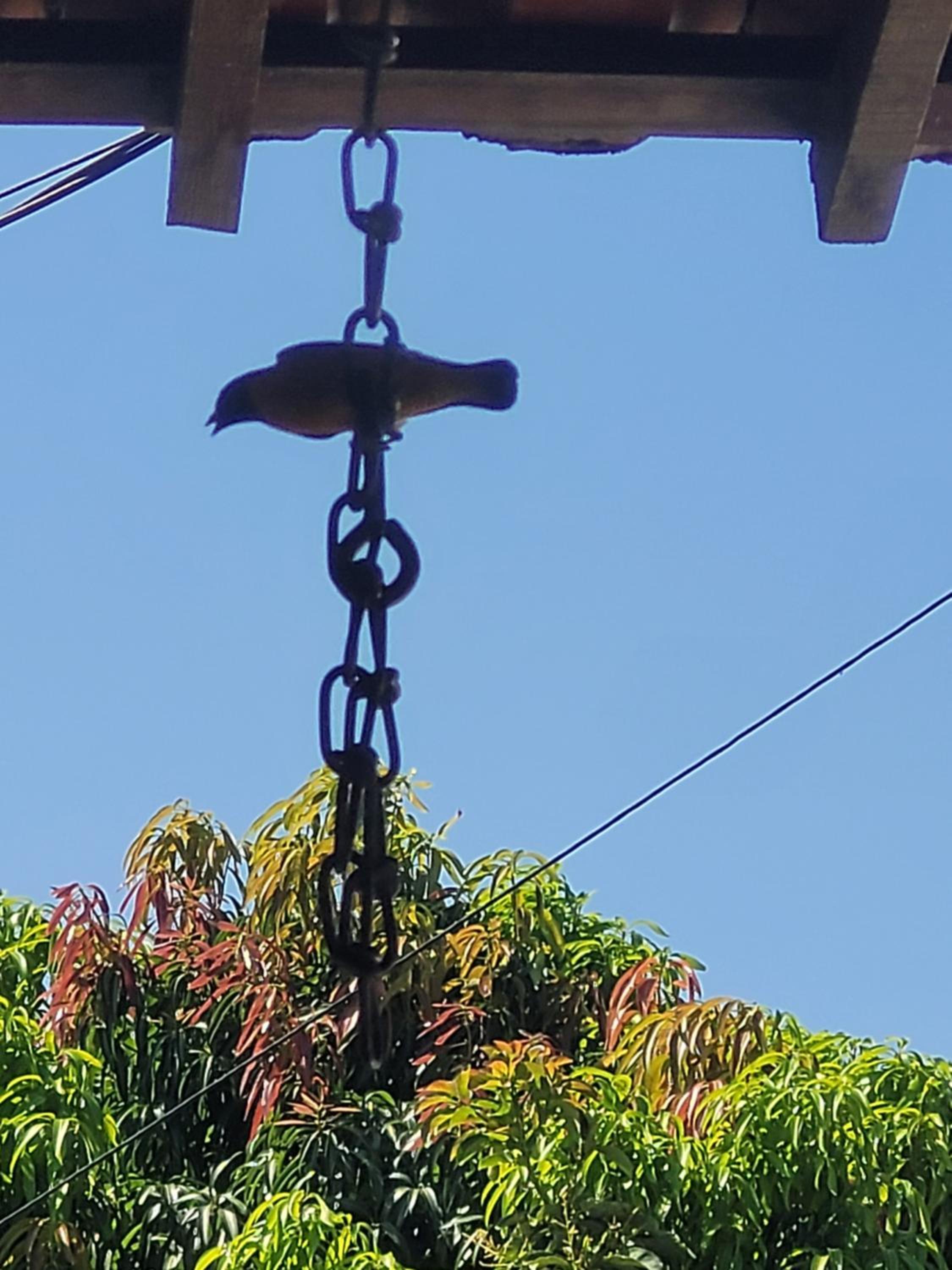 Rancho Santa Helena