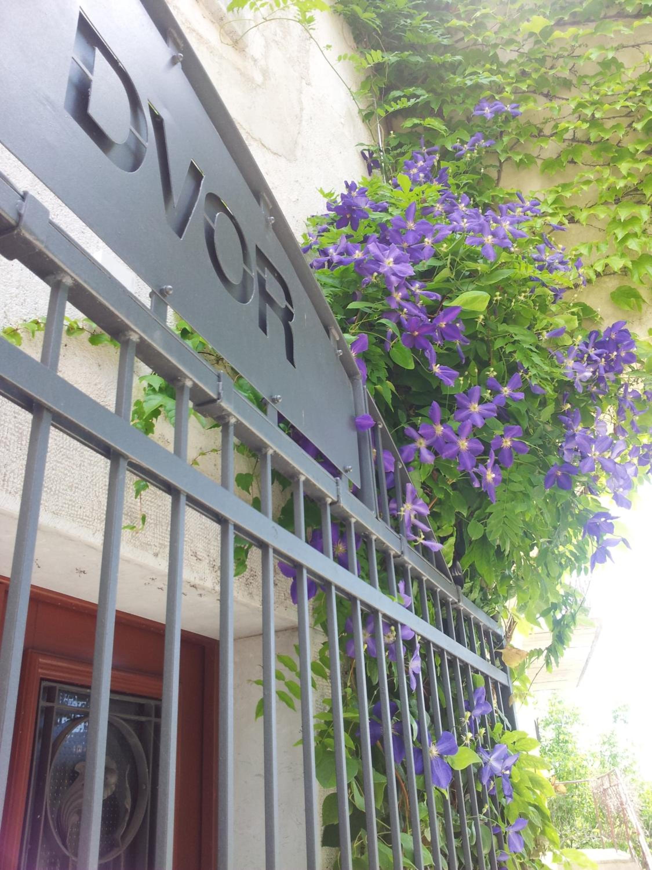 Boutique Hotel Dvor