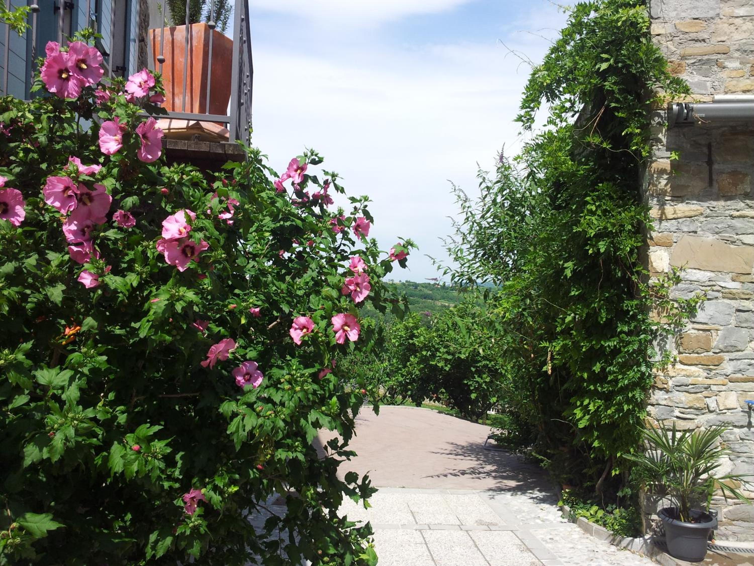 Boutique Hotel Dvor
