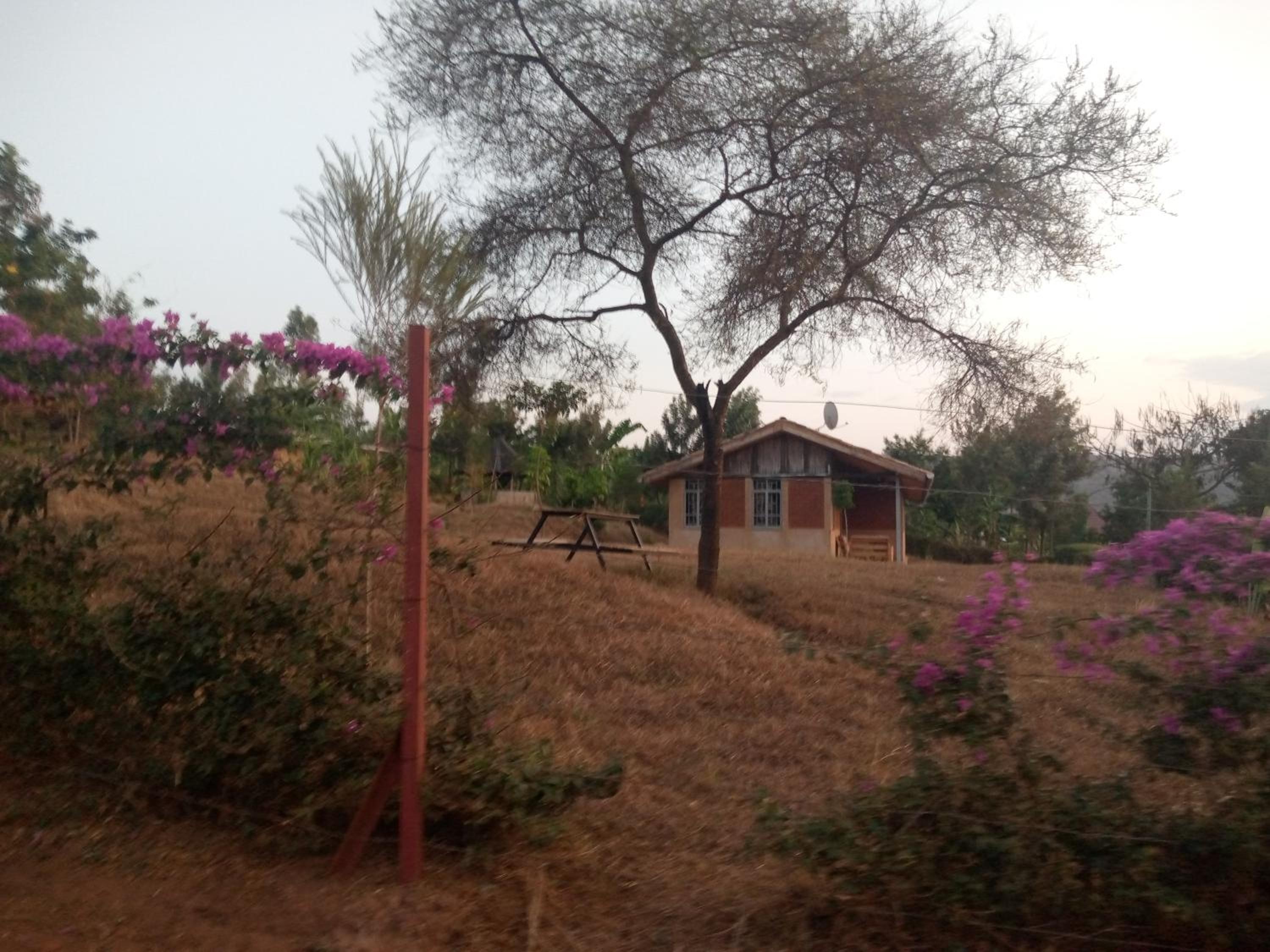 Munyana homestay