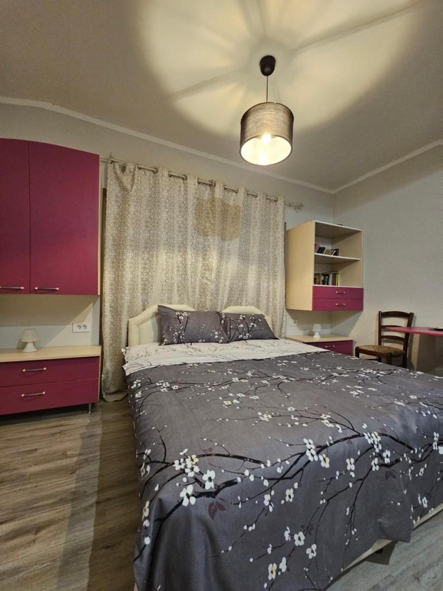 Studio apartman Stevovic photo 5