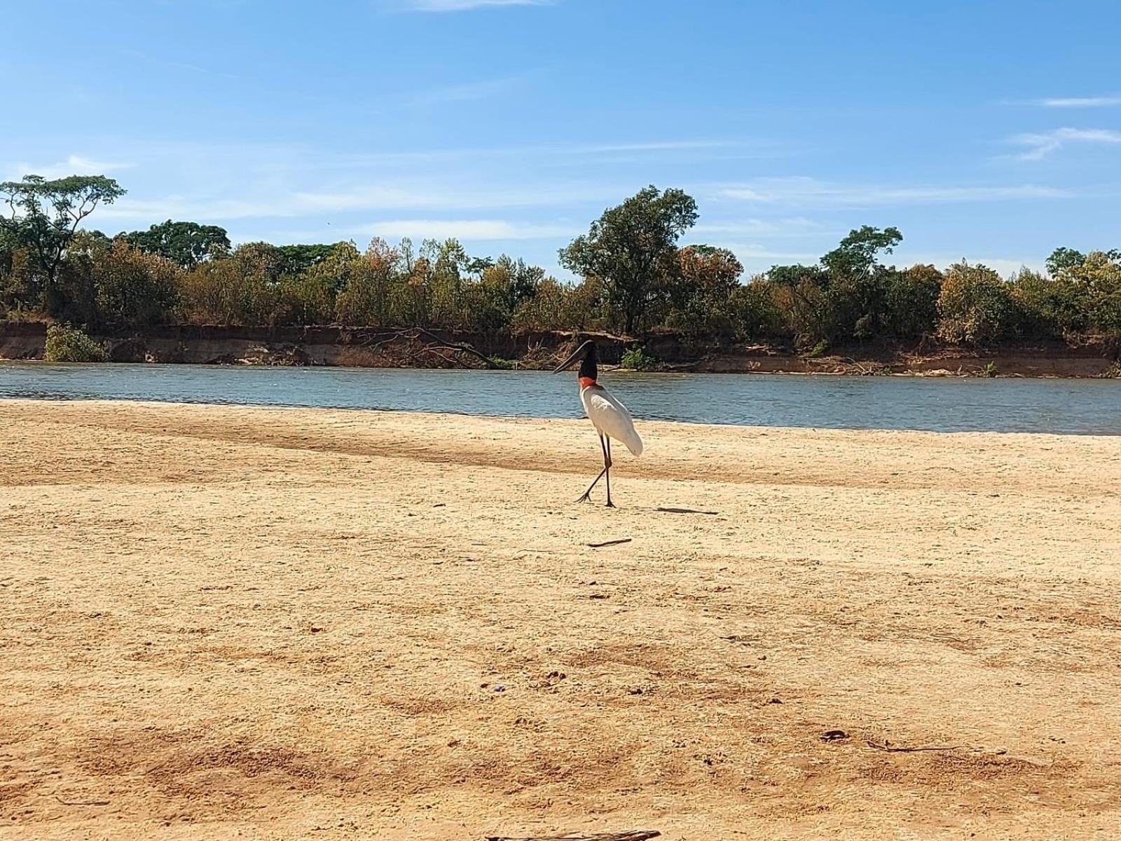 Rancho Peixe Grande Luiz Alves Rio Araguaia