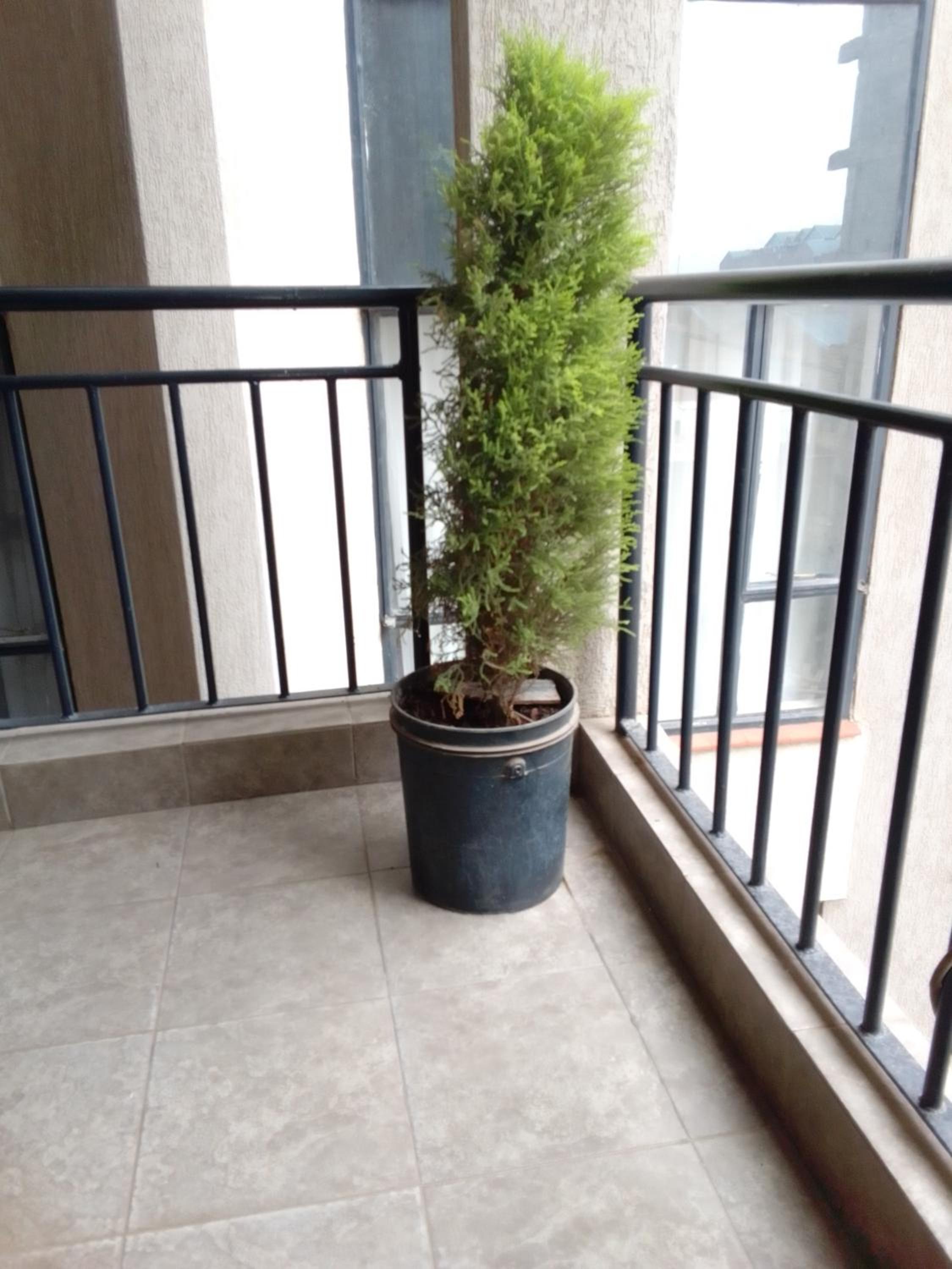 Tsavo 90 degrees apartment view 2