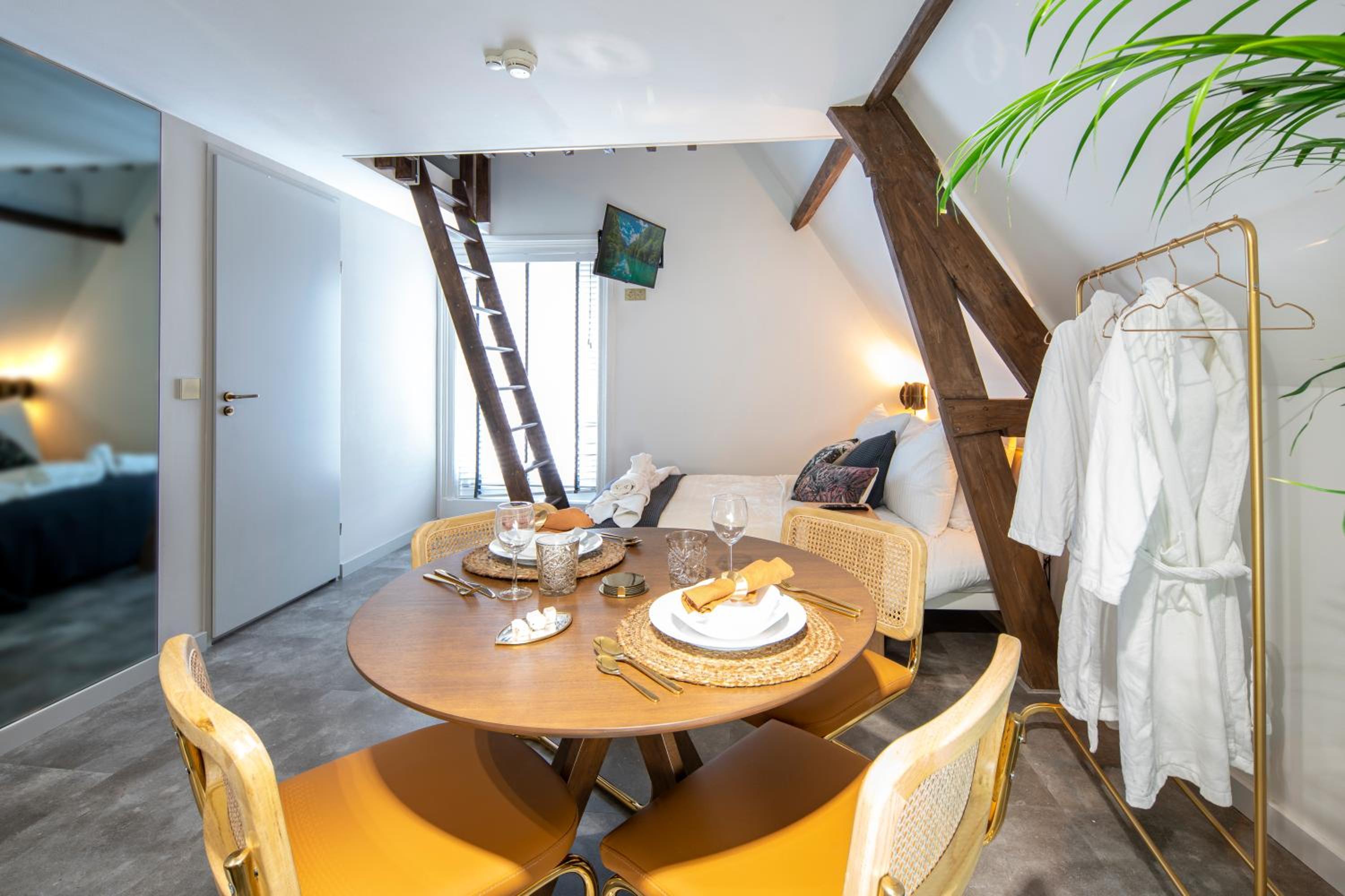 New Family top floor apartment Utopia 10min to Rotterdam central city app5 view 3