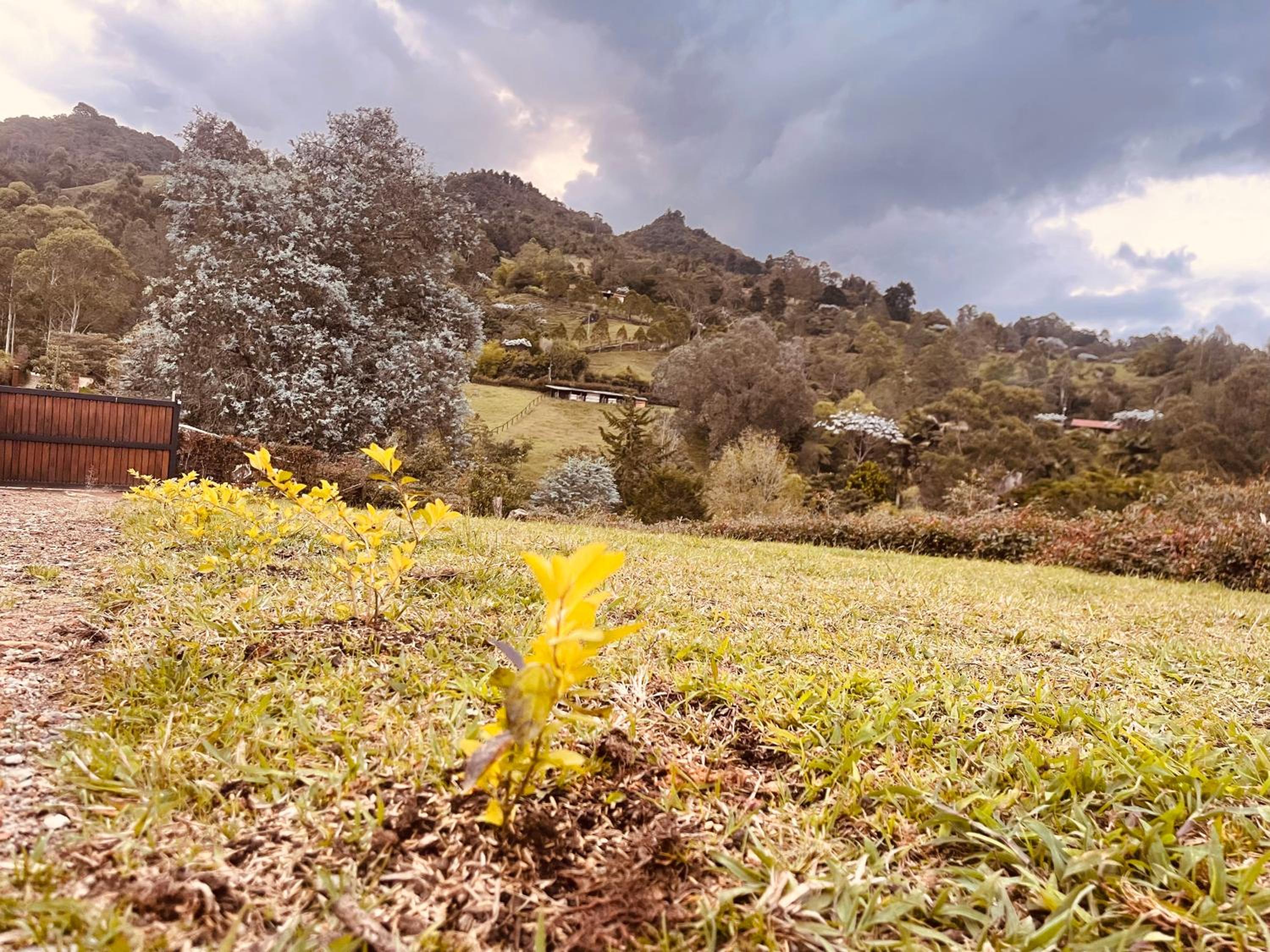 PonteMonte Suite