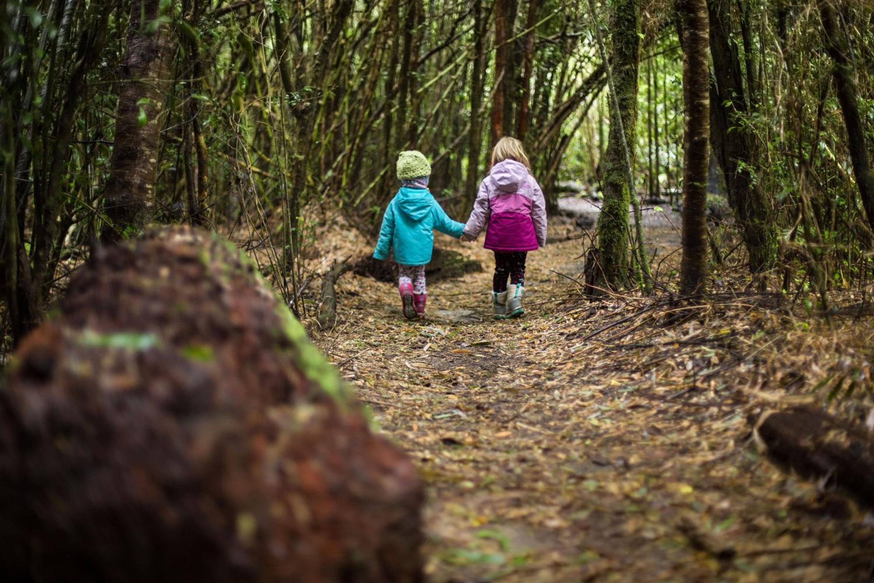 Centro Turístico Anticura Parque Nacional Puyehue