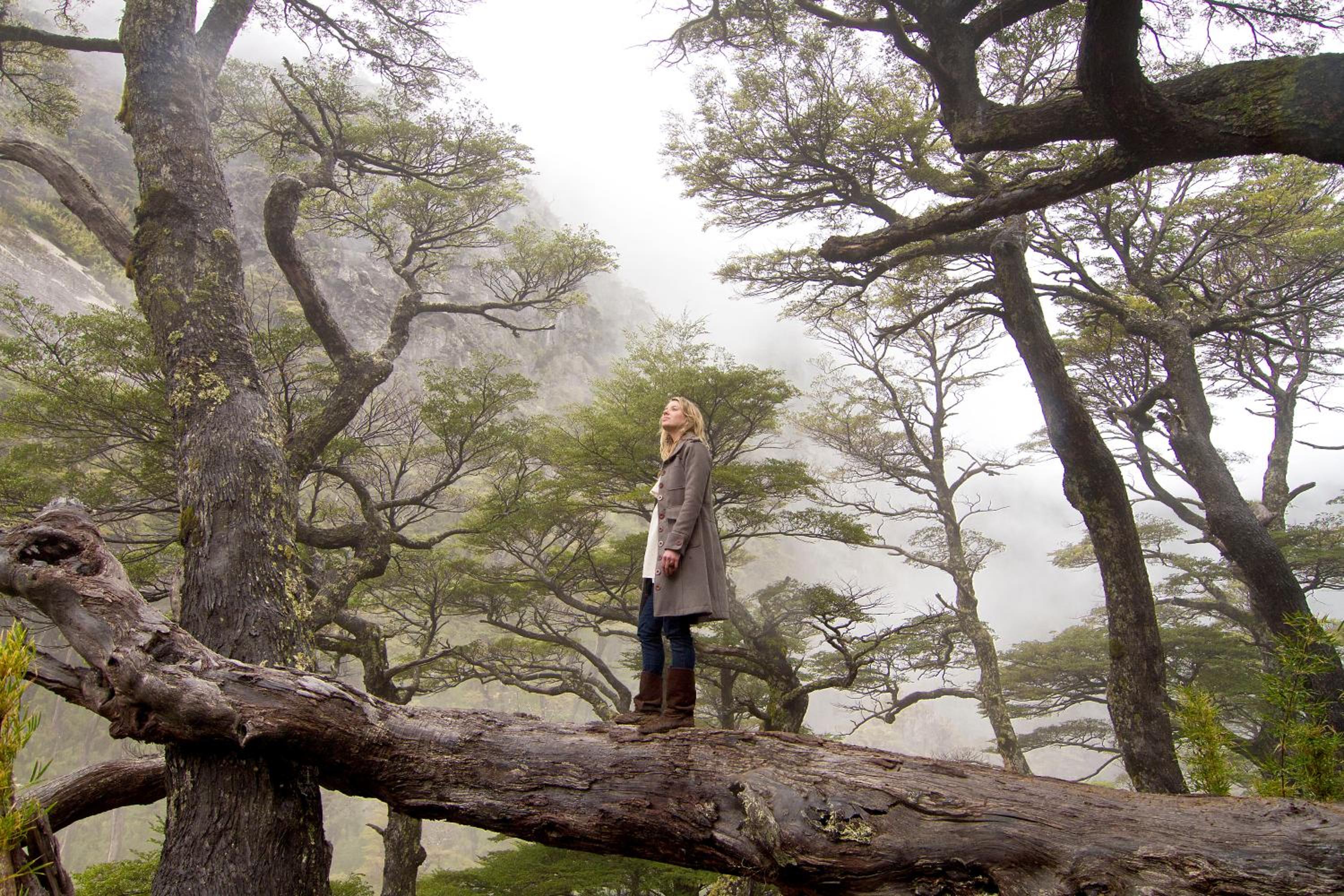 Centro Turístico Anticura Parque Nacional Puyehue