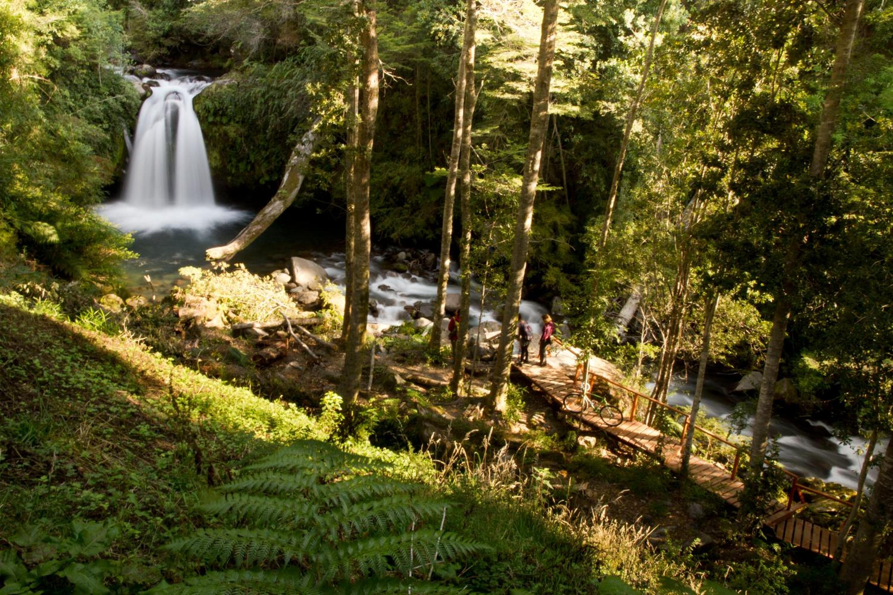 Centro Turístico Anticura Parque Nacional Puyehue