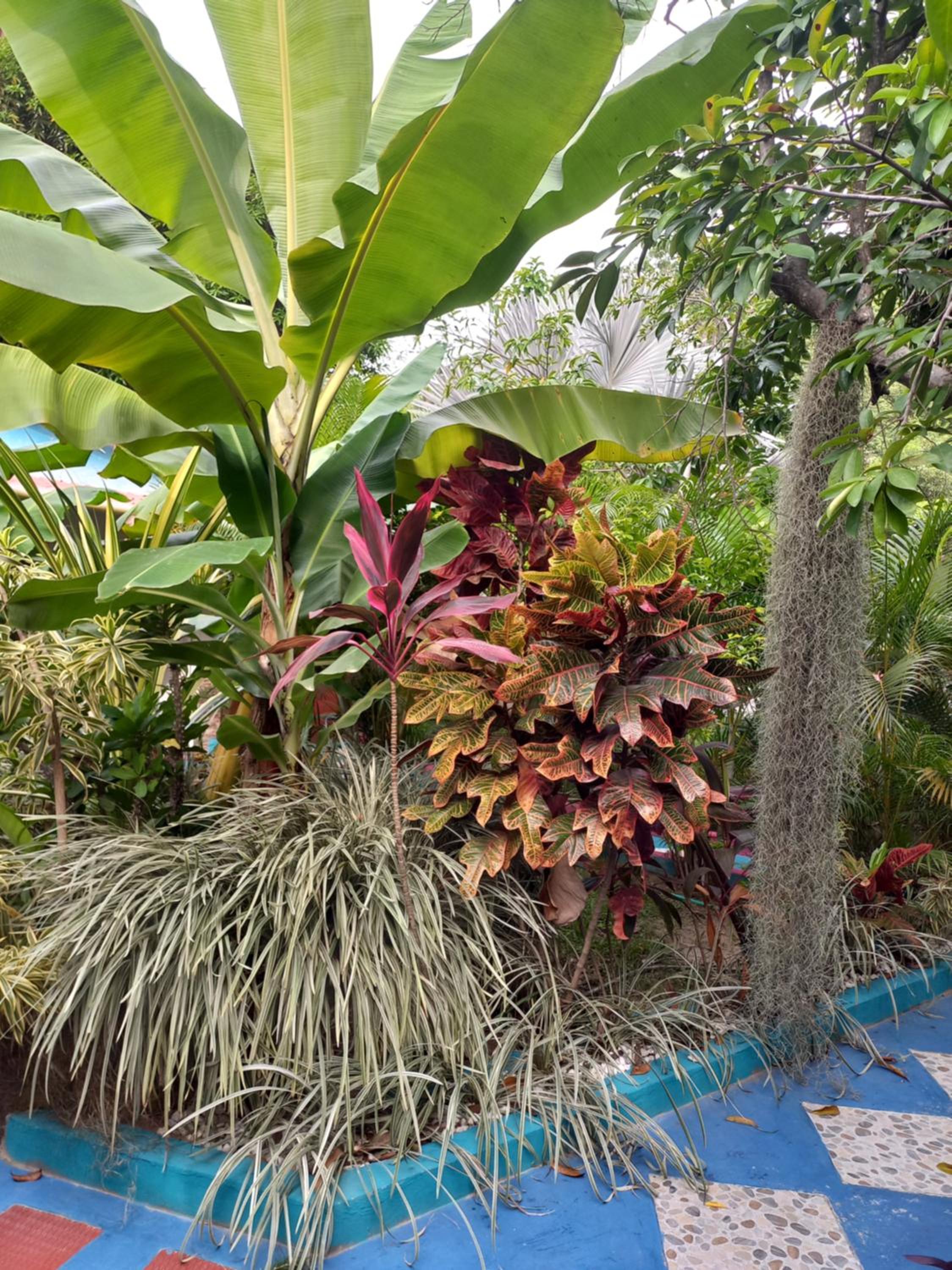 Eco-Cafe El Mirador