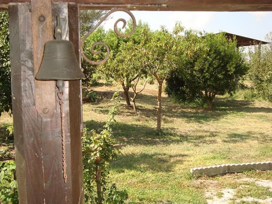 La tenuta Jucci view 4
