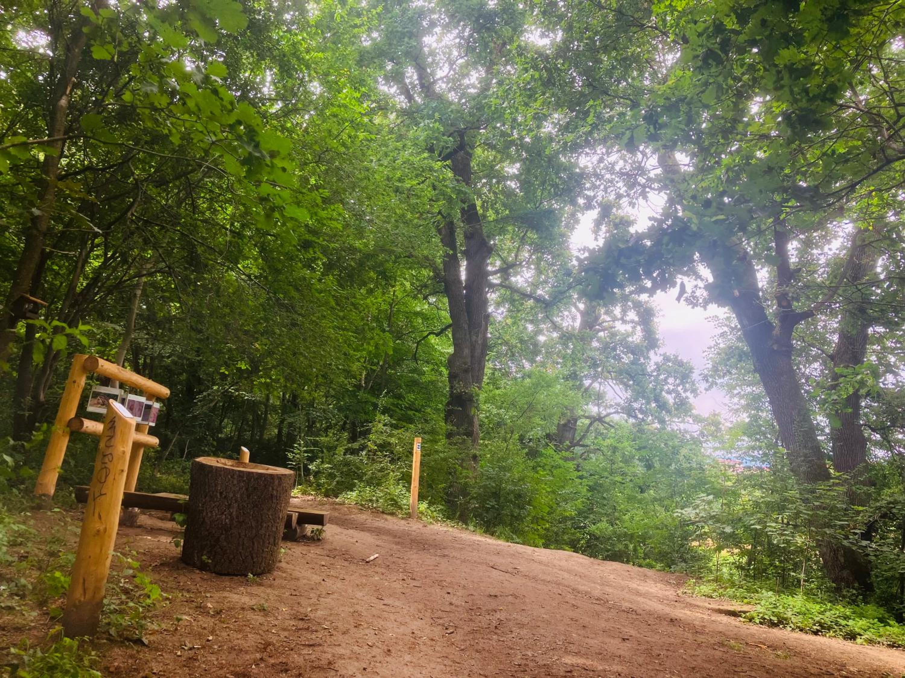 Photo 6